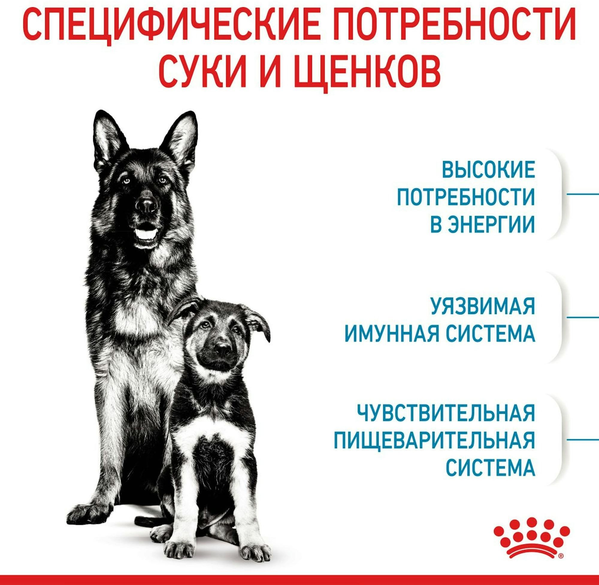 Сухой корм для собак Royal Canin Maxi Starter Mother & BabyDog больших пород в период беременности и лактации 4кг фото 5