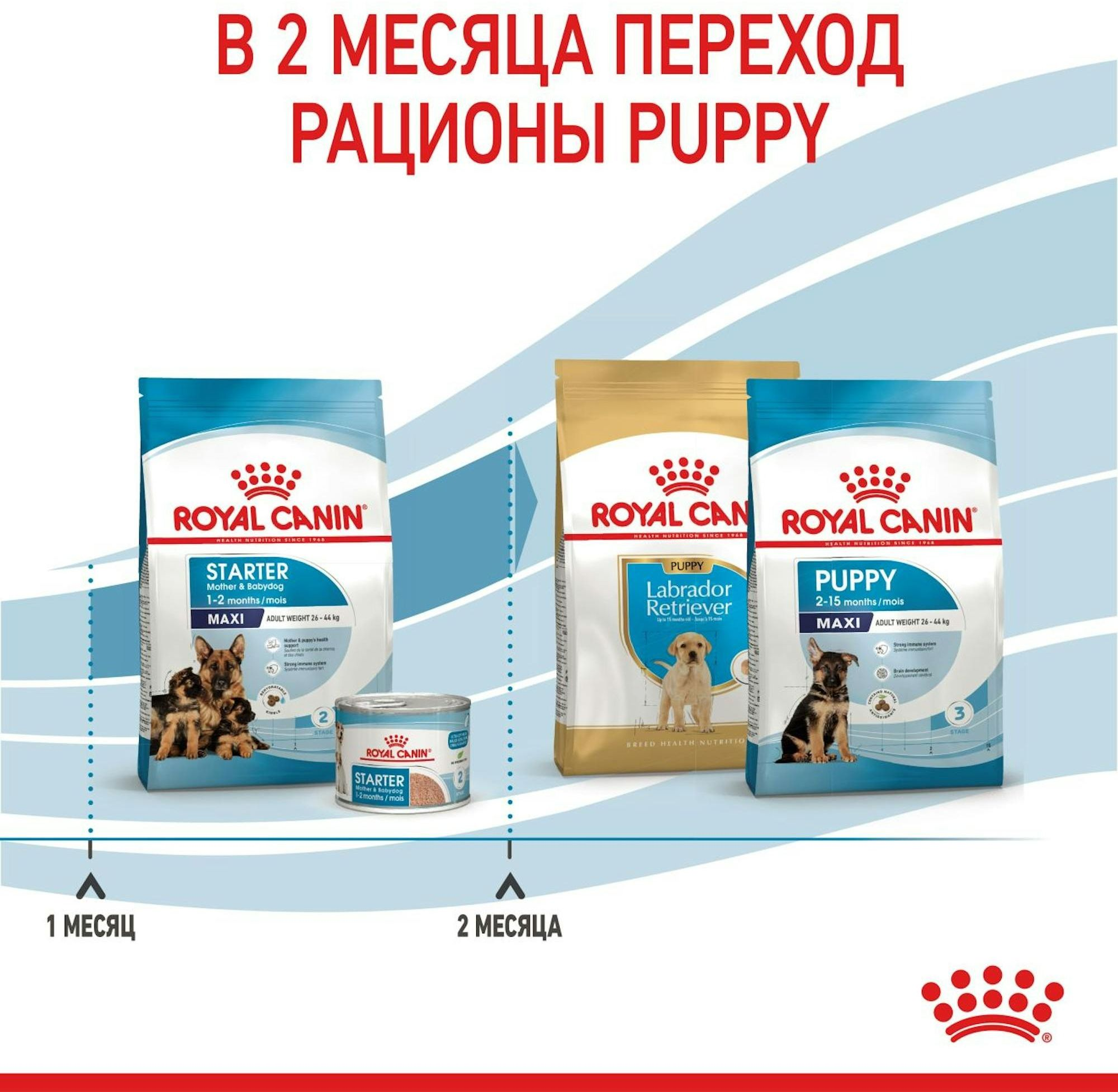 Сухой корм для собак Royal Canin Maxi Starter Mother & BabyDog больших пород в период беременности и лактации 4кг фото 9