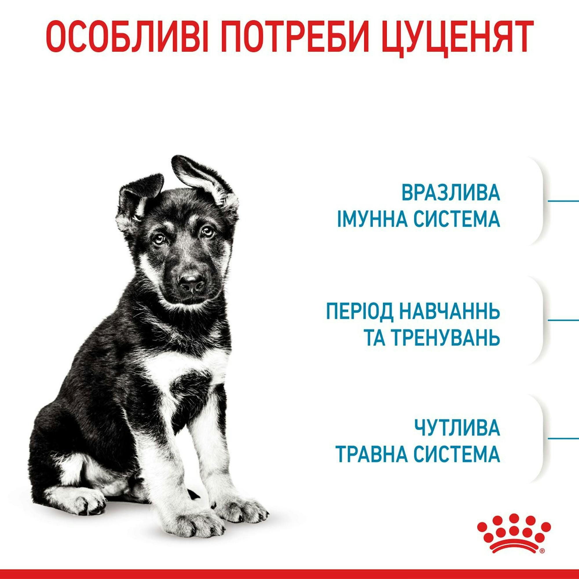 Сухий корм для цуценят Royal Canin Maxi Puppy великих порід собак 1кгфото3