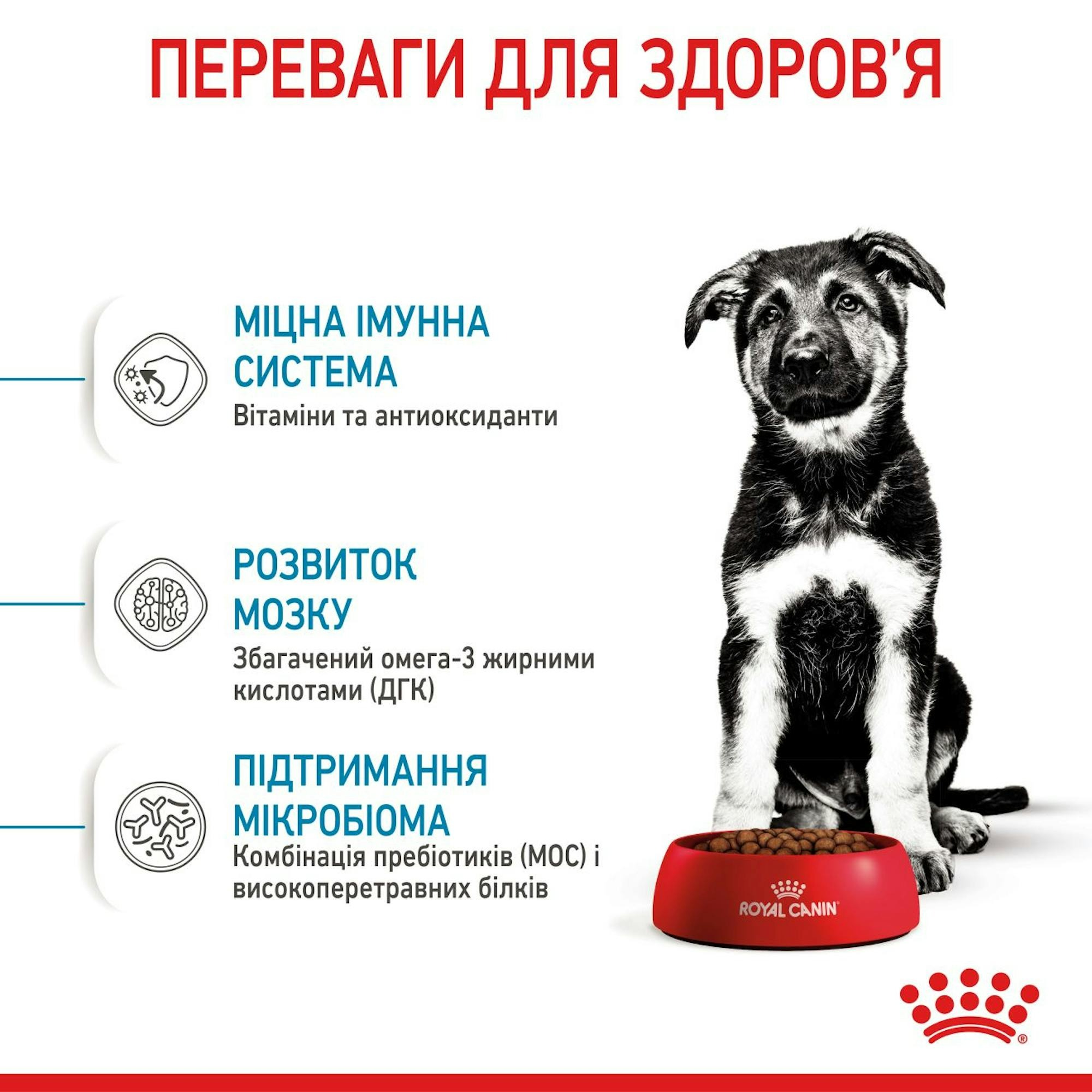 Сухой корм для щенков Royal Canin Maxi Puppy больших пород собак 1кг фото 4