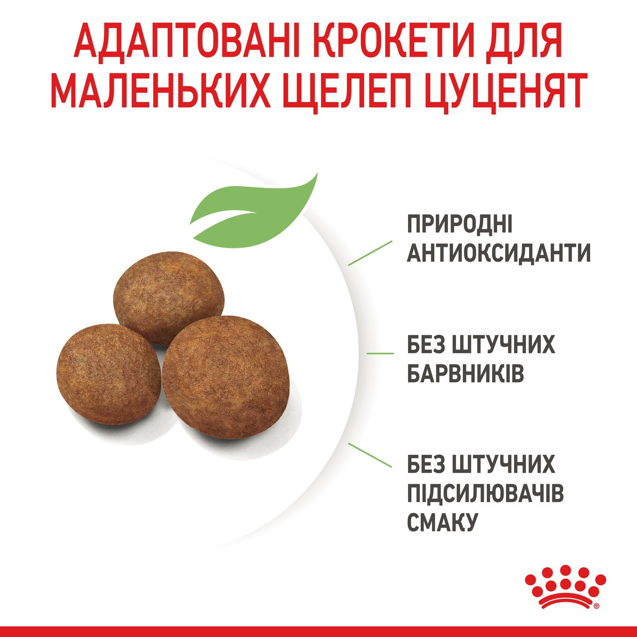 Сухий корм для цуценят Royal Canin Maxi Puppy великих порід собак 1кгфото5