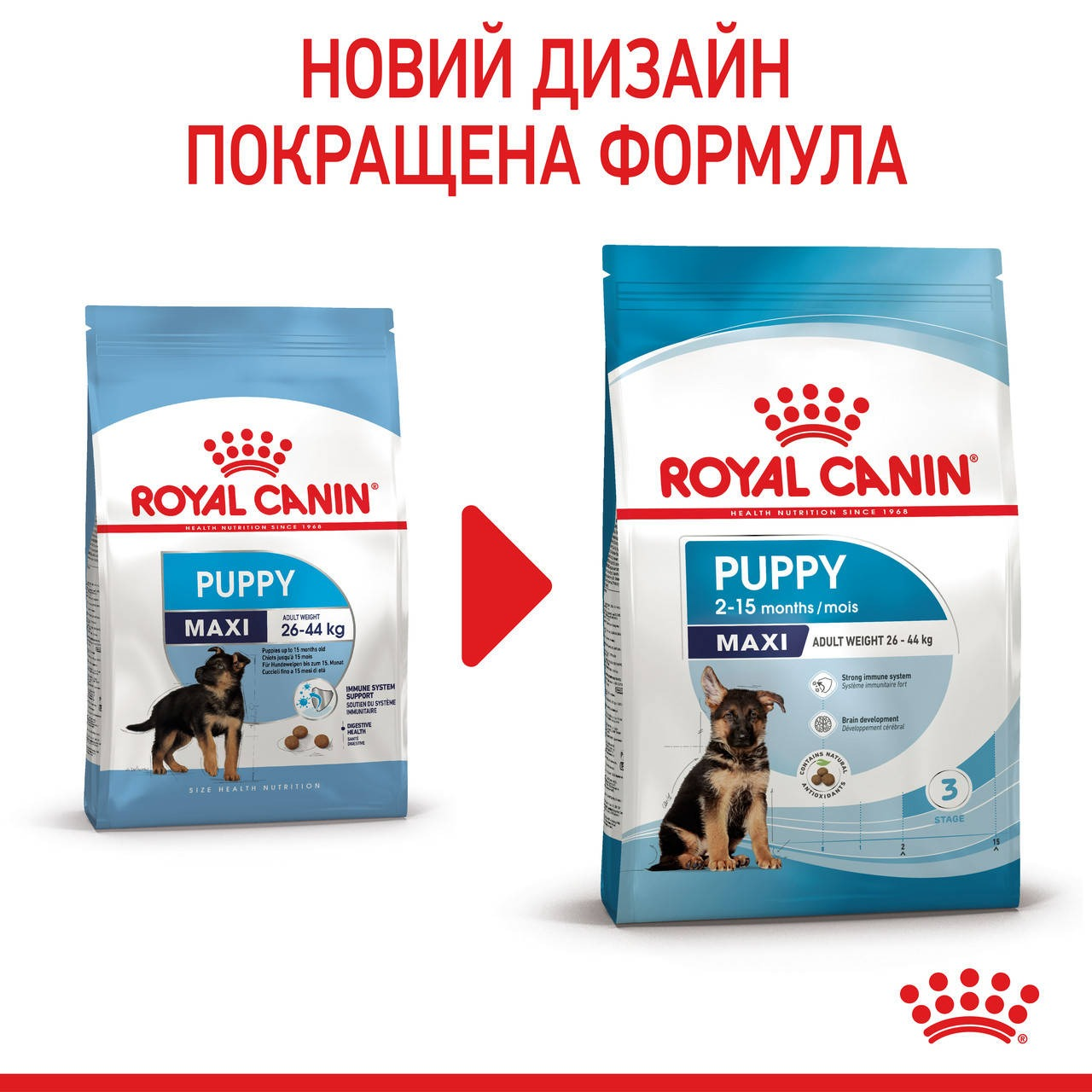 Сухой корм для щенков Royal Canin Maxi Puppy больших пород собак 1кг фото 8