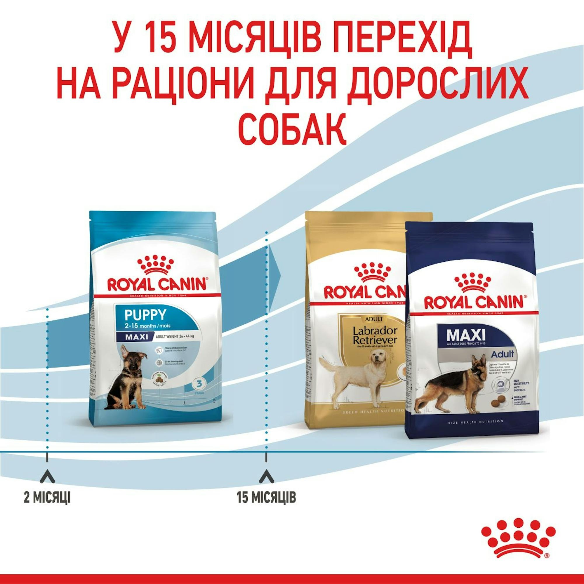 Сухой корм для щенков Royal Canin Maxi Puppy больших пород собак 1кг фото 9