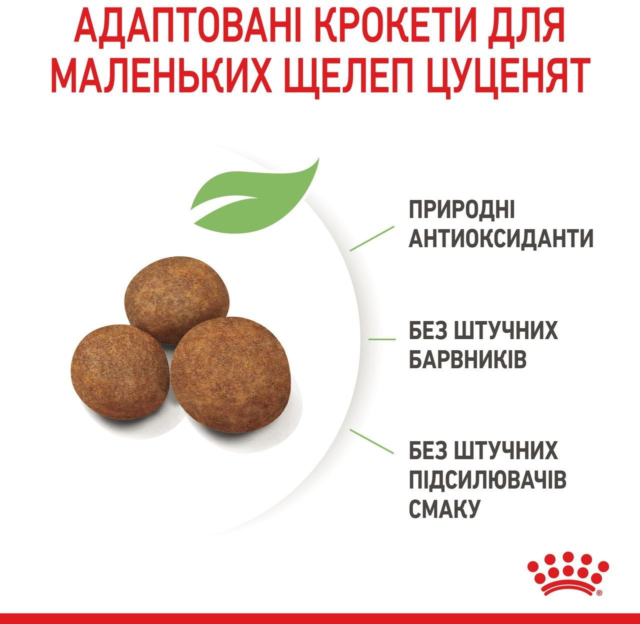 Сухий корм для цуценят Royal Canin Giant Puppy гігантських порід собак 1кгфото5