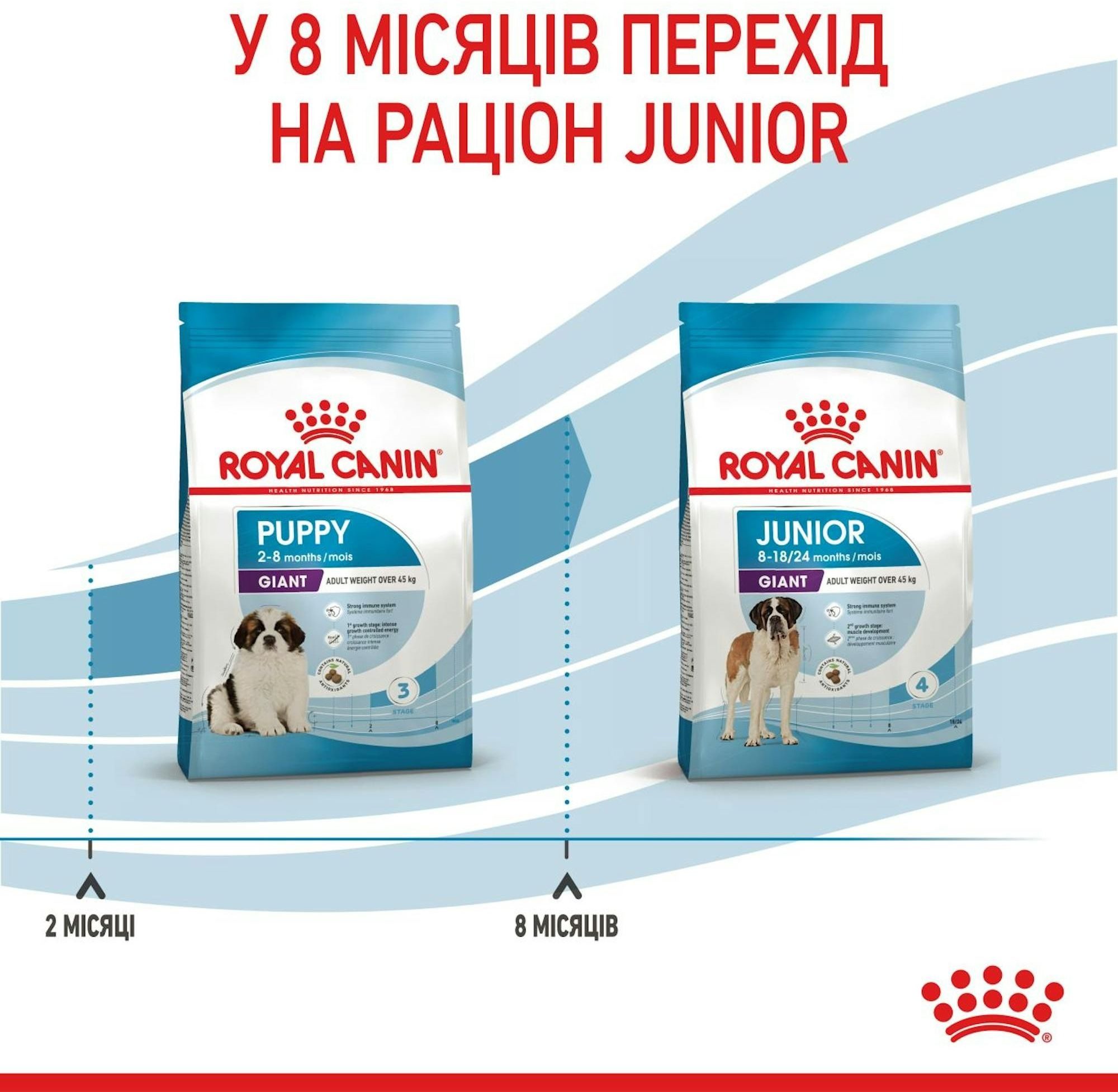 Сухой корм для щенков Royal Canin Giant Puppy гигантских пород собак 1кг фото 9