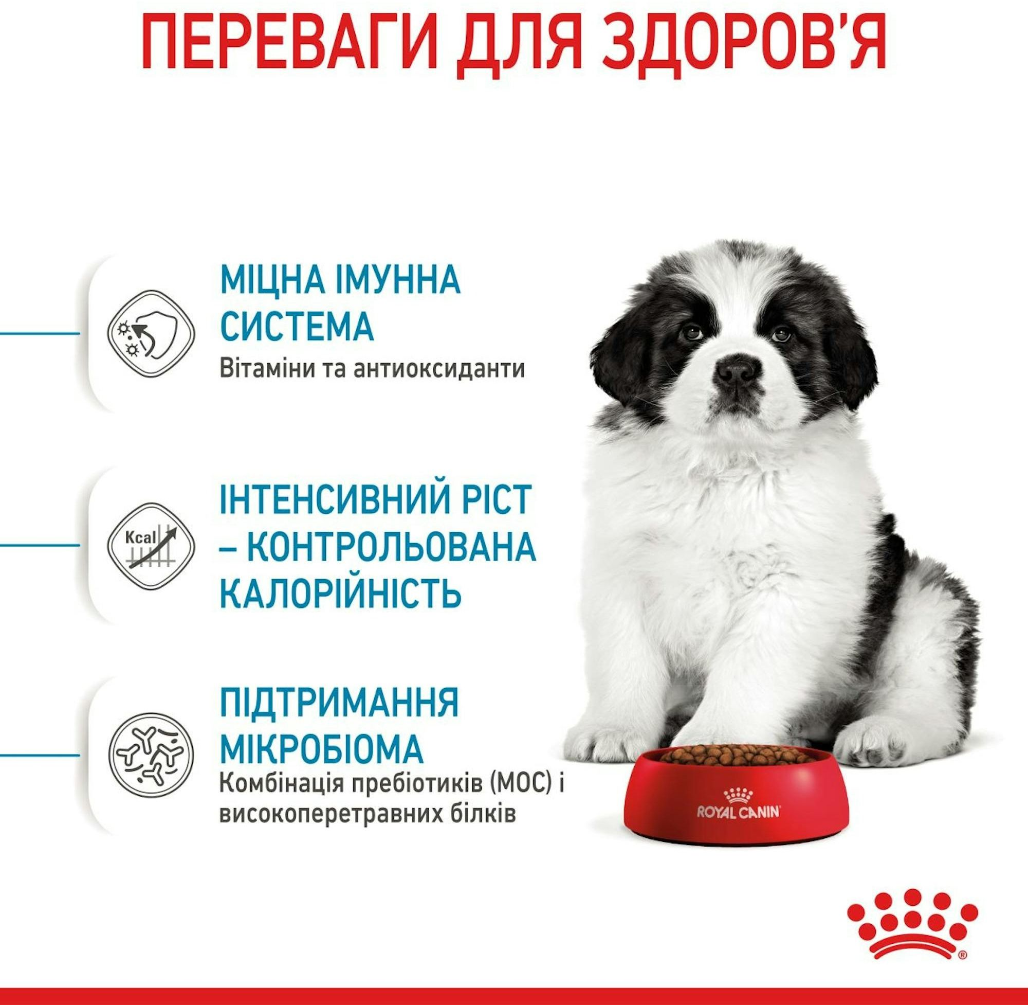 Сухой корм для щенков Royal Canin Giant Puppy гигантских пород собак 1кг фото 4