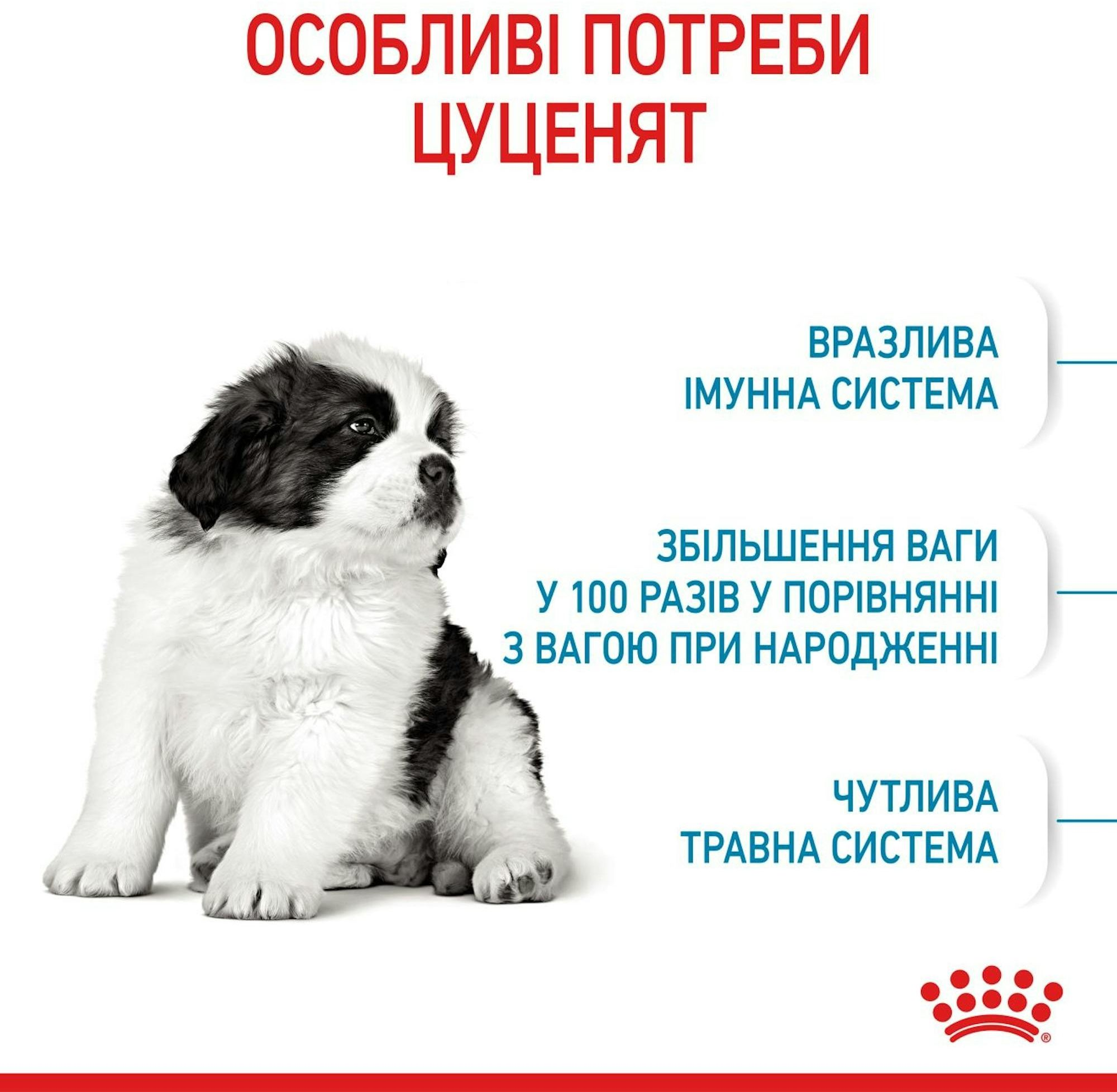 Сухой корм для щенков Royal Canin Giant Puppy гигантских пород собак 1кг фото 3