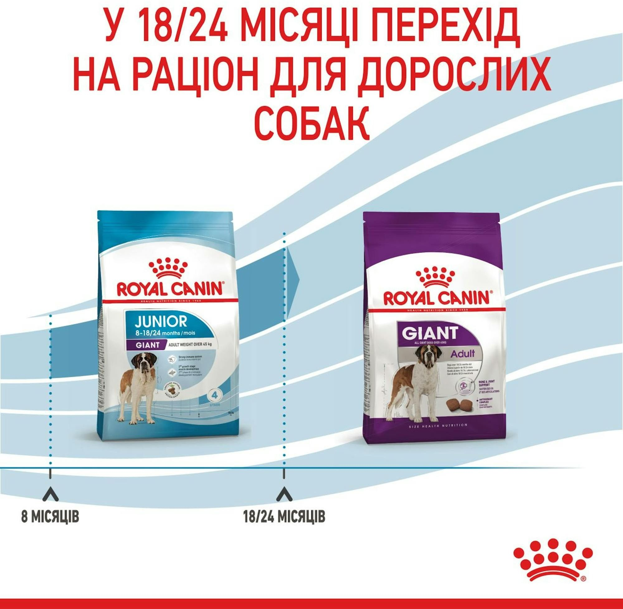 Сухой корм для собак Royal Canin Giant Junior гигантских пород 15кг фото 8