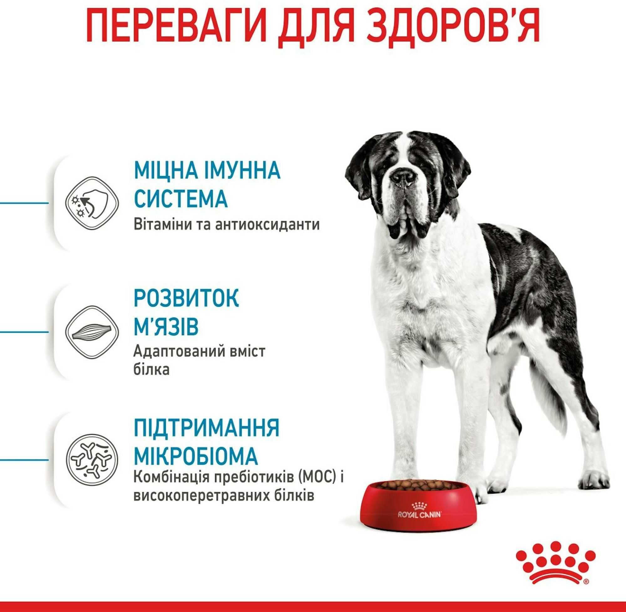 Сухой корм для собак Royal Canin Giant Junior гигантских пород 15кг фото 4