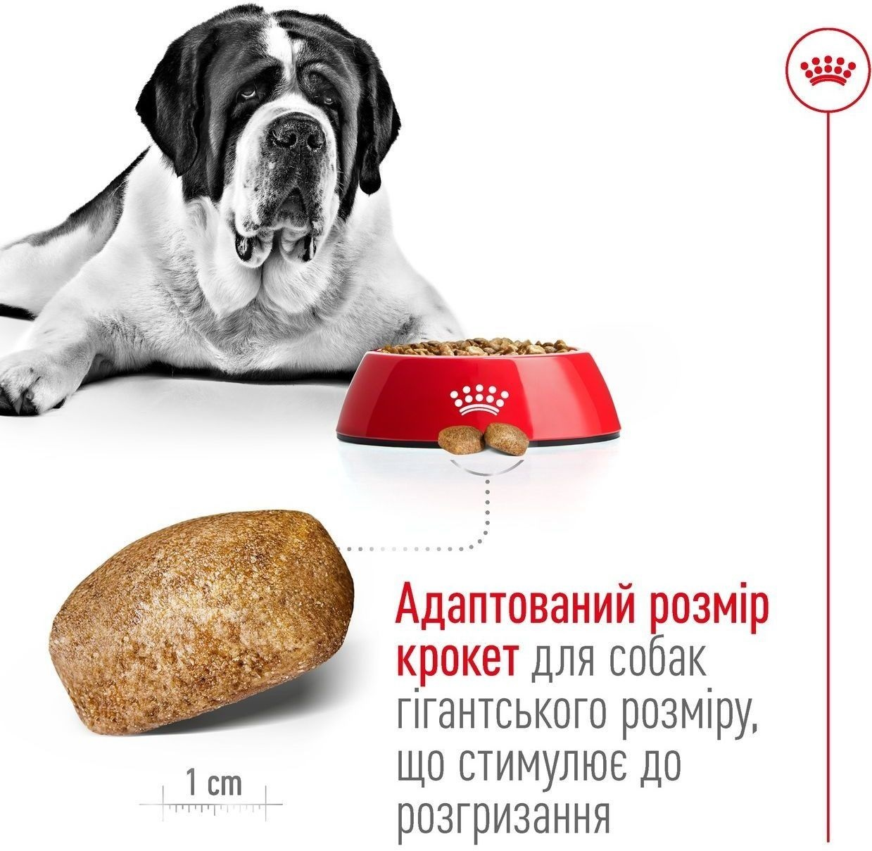 Сухой корм для собак Royal Canin Giant Adult гигантских пород 4кг фото 3