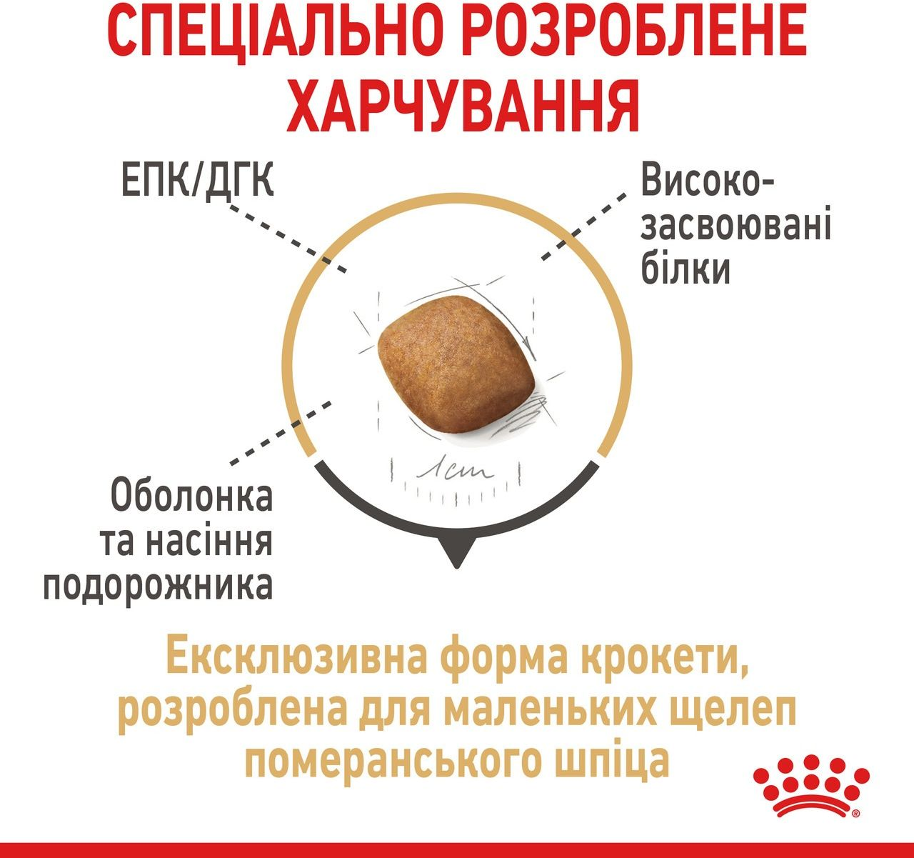 Сухой корм для собак породы Померанский шпиц Royal Canin Pomeranian Adult 0.5кг фото 4