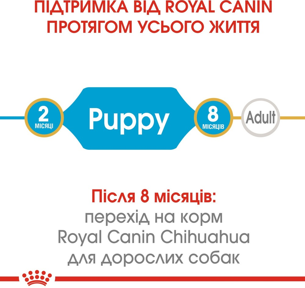 Сухий корм для цуценят породи Чихуахуа Royal Canin Chihuahua Puppy 0.5кгфото5