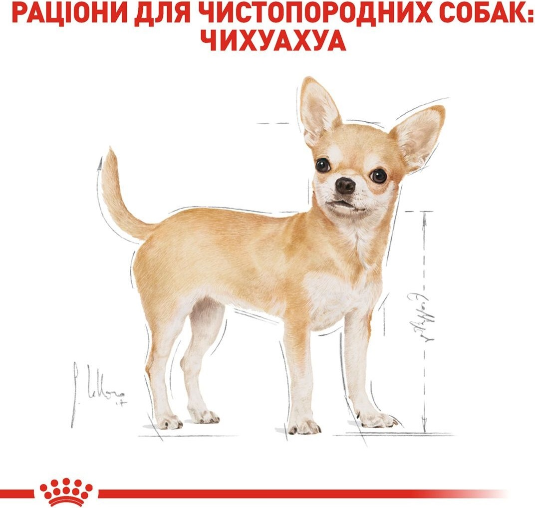 Сухой корм для собак породы Чихуахуа Royal Canin Chihuahua Adult 0.5кг фото 3