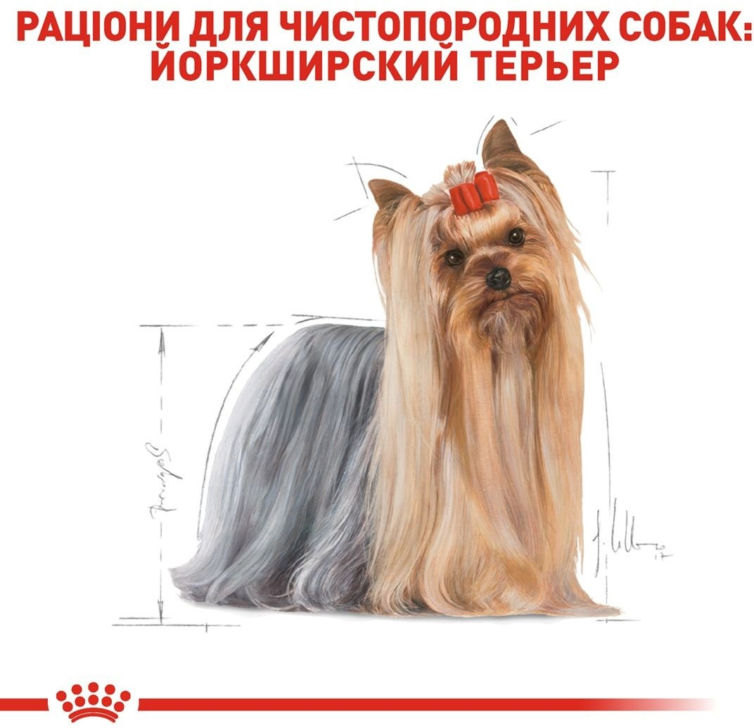 Сухий корм для собак породи Йоркширський-тер'єр Royal Canin Yorkshire Adult 7.5кгфото3