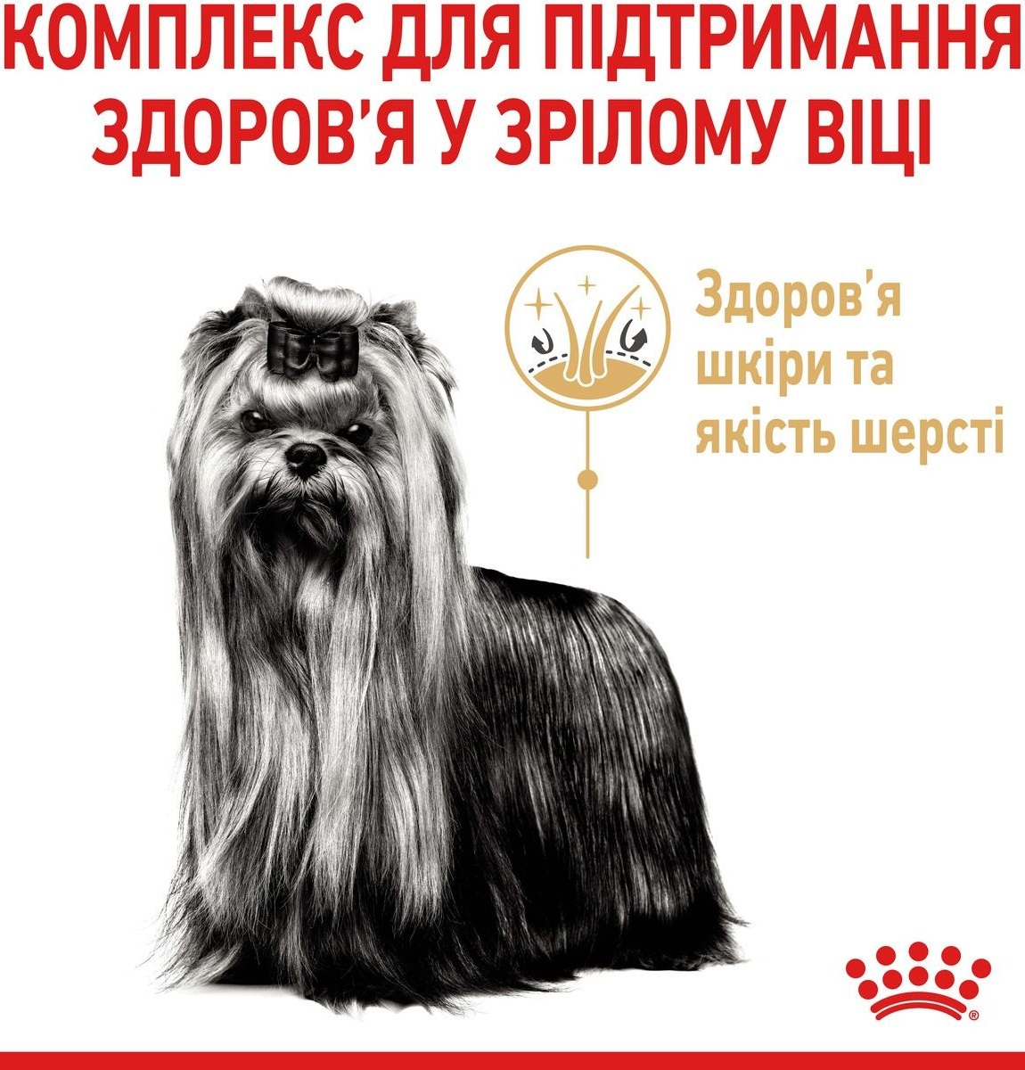 Сухий корм для собак породи Йоркширський-тер'єр Royal Canin Yorkshire Adult 1.5кгфото3