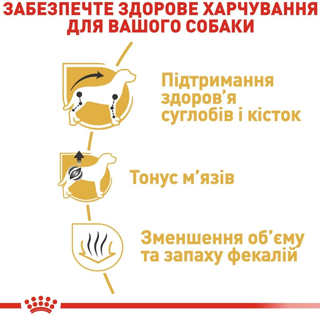 Сухой корм для собак породы Такса Royal Canin Dachshund Adult 1.5кг фото 5