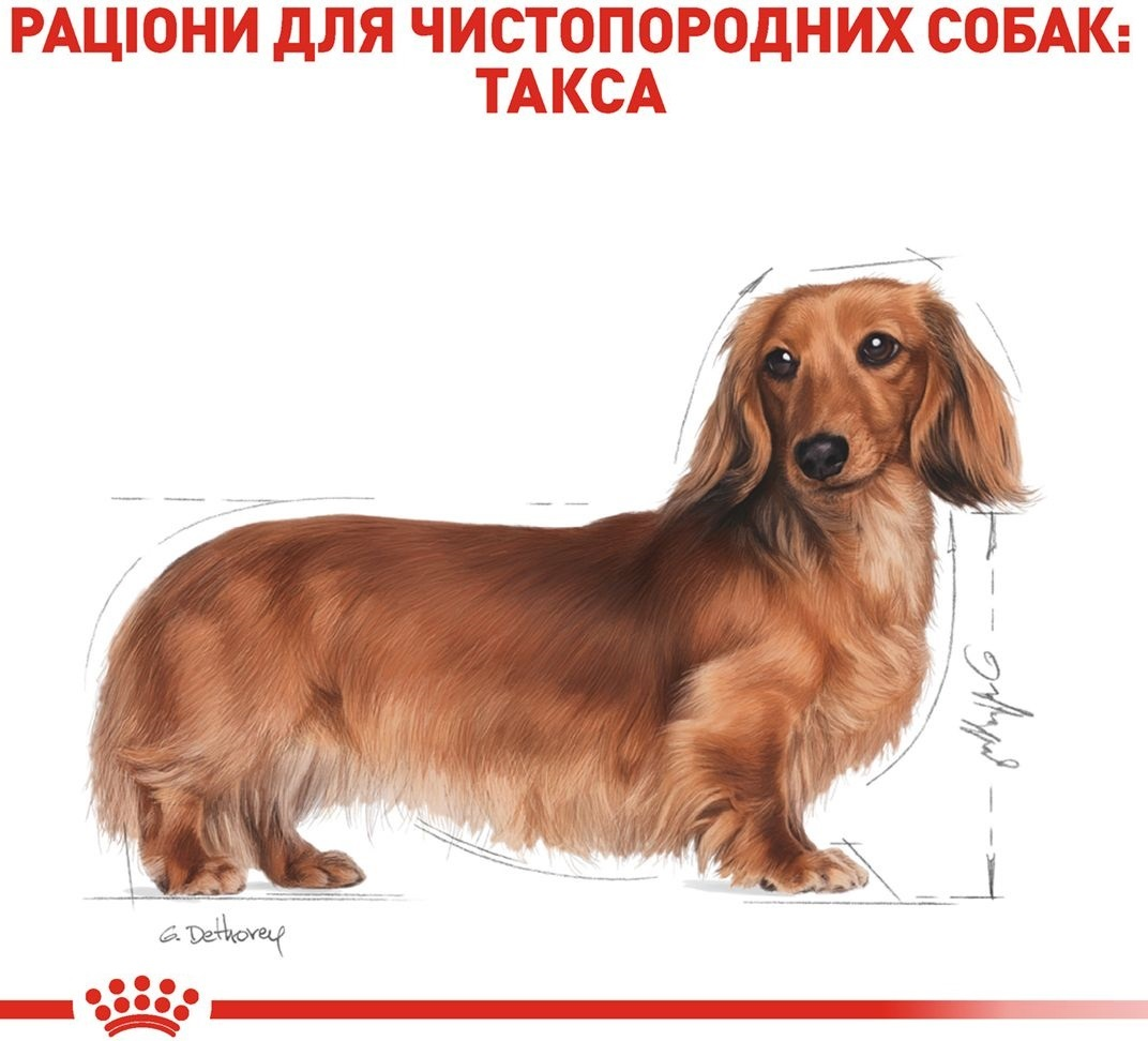 Сухой корм для собак породы Такса Royal Canin Dachshund Adult 1.5кг фото 3