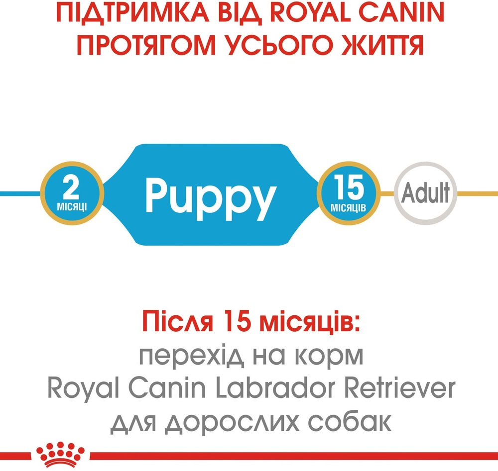 Сухий корм для цуценят породи Лабрадор-ретрівер Royal Canin Labrador Puppy 3кгфото2