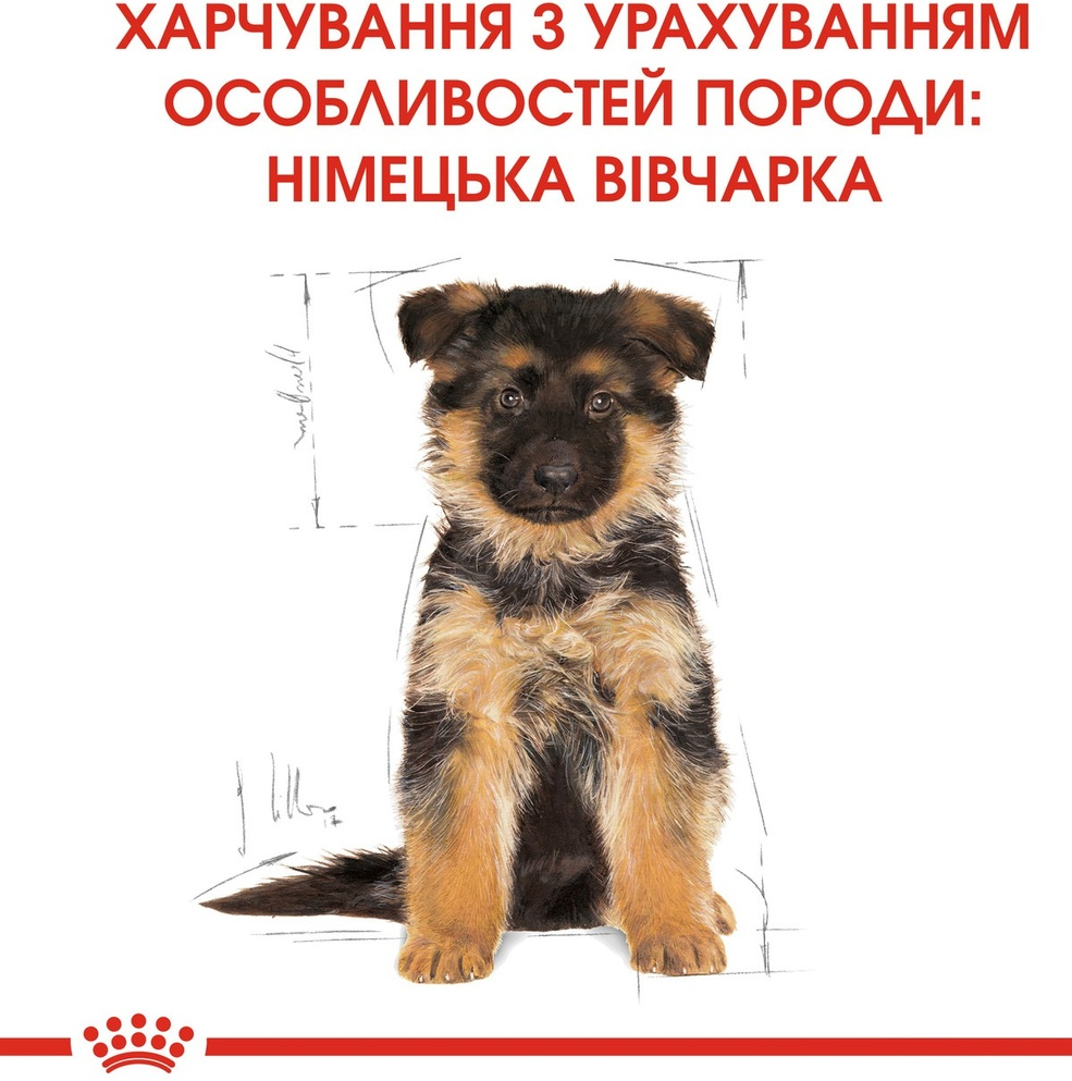 Сухой корм для щенков породы Немецкая овчарка Royal Canin German Shepherd Puppy 3кг фото 6