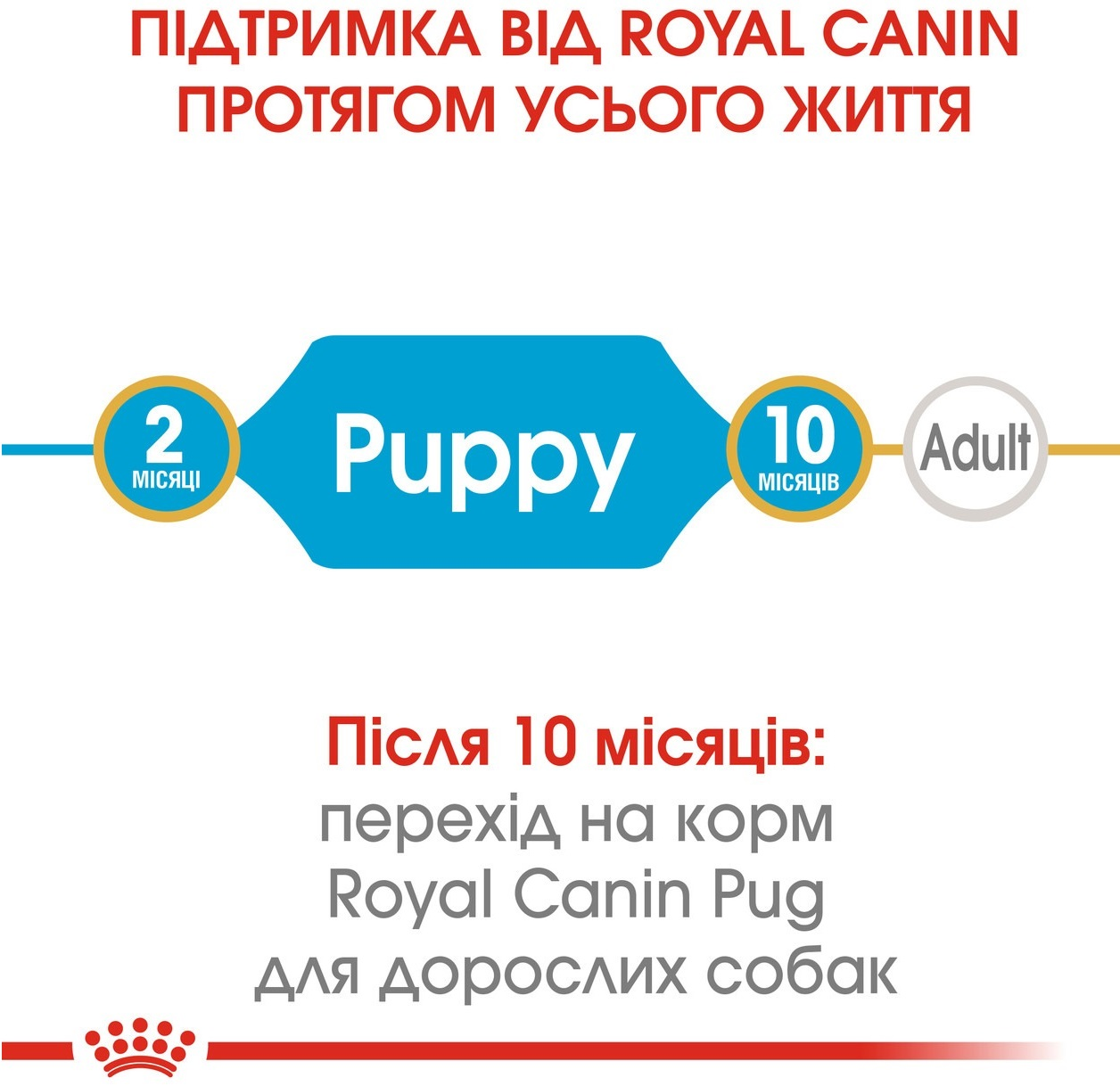 Сухой корм для щенков породы Мопс Royal Canin Pug Puppy 1.5кг фото 6