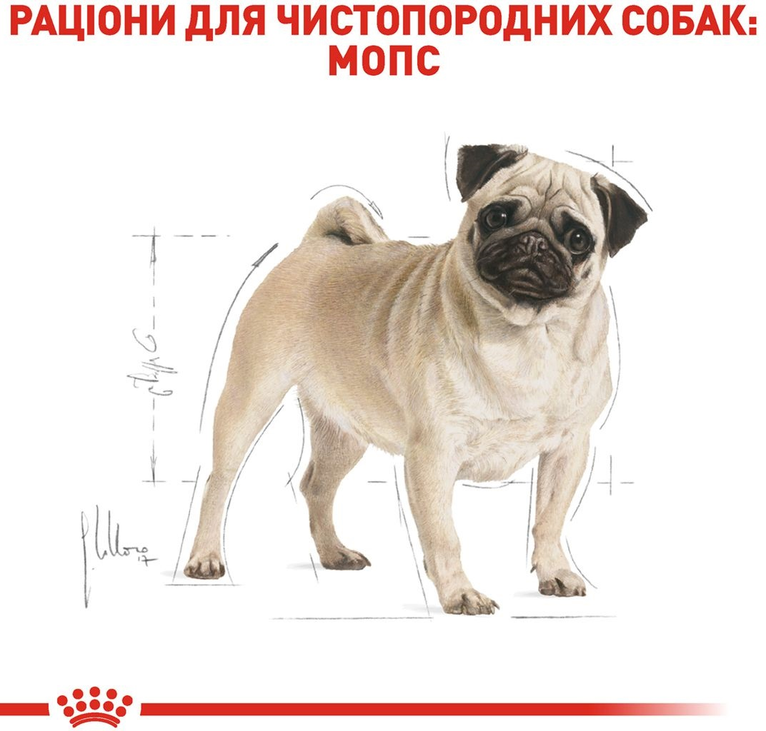 Сухой корм для собак породы Мопс Royal Canin Pug Adult 1.5кг фото 3