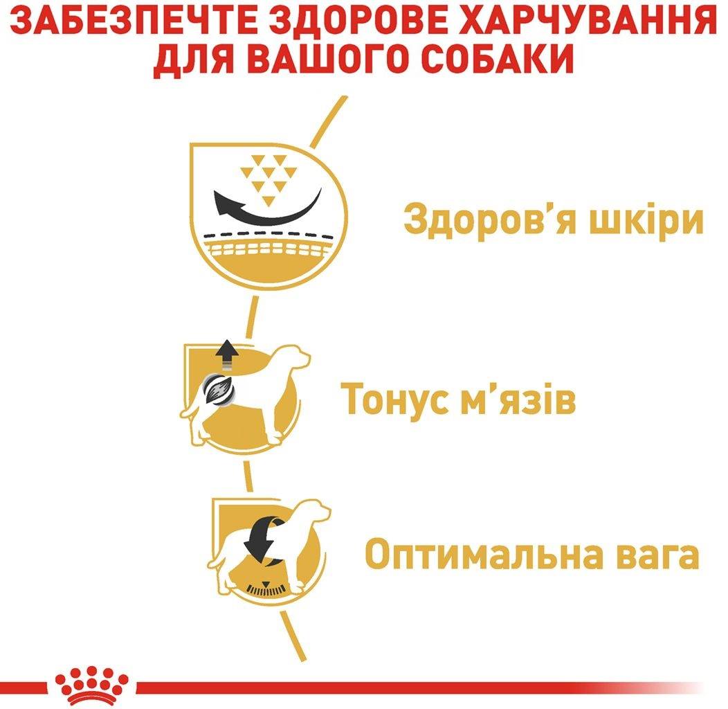 Сухой корм для собак породы Мопс Royal Canin Pug Adult 1.5кг фото 5