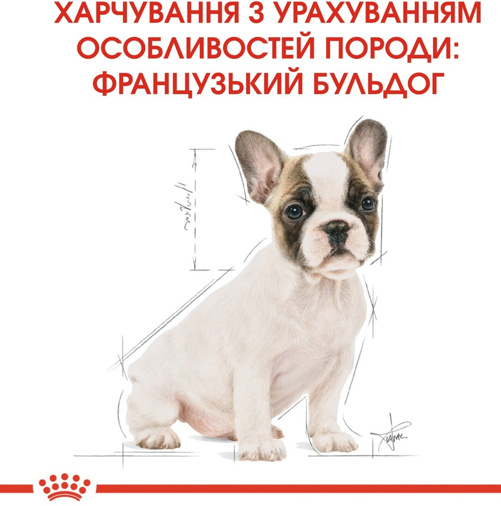 Сухий корм для цуценят породи Французький бульдог Royal Canin French Bulldog Puppy 1кгфото6