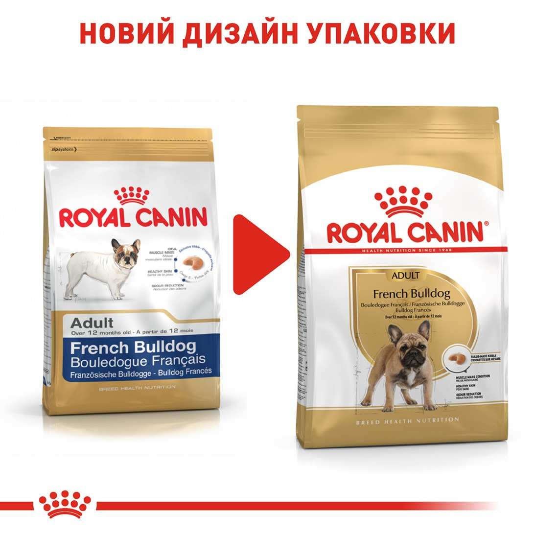 Сухой корм для собак породы Французский бульдог Royal Canin French Bulldog Adult 1.5кг фото 6