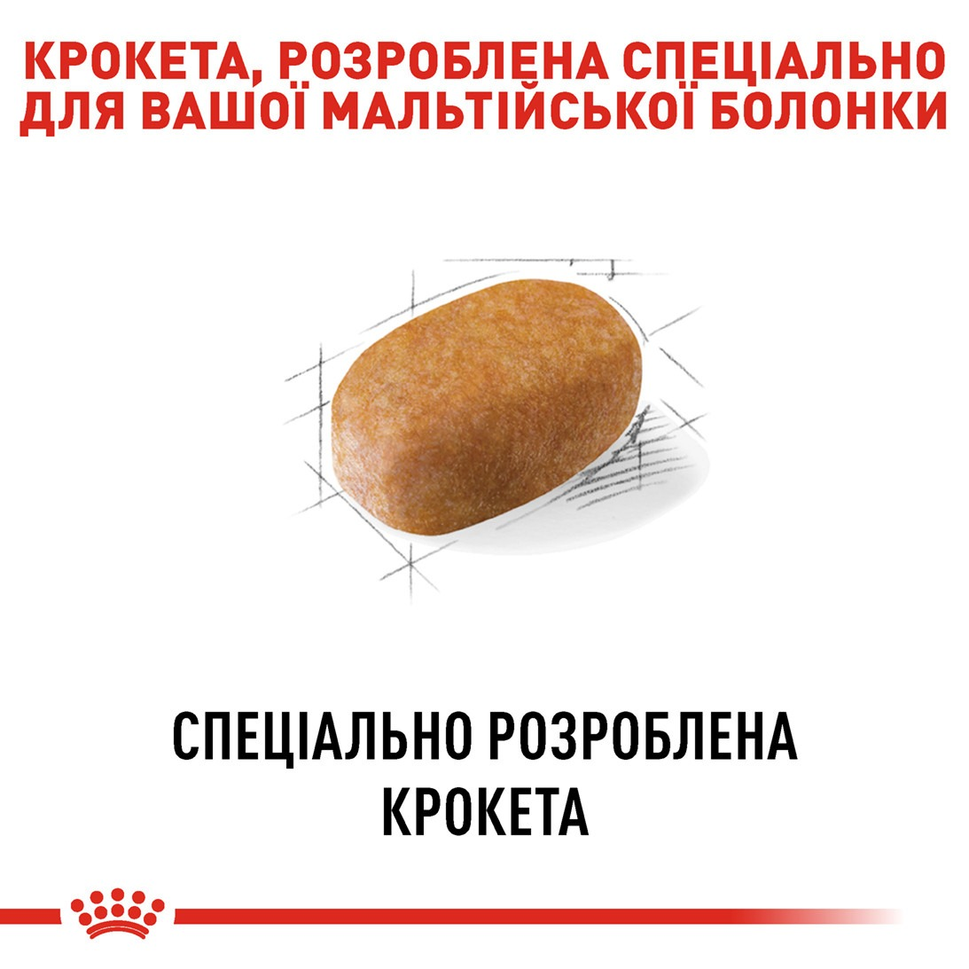 Сухий корм для собак породи Мальтійська болонка Royal Canin Maltese Adult 0.5кгфото4