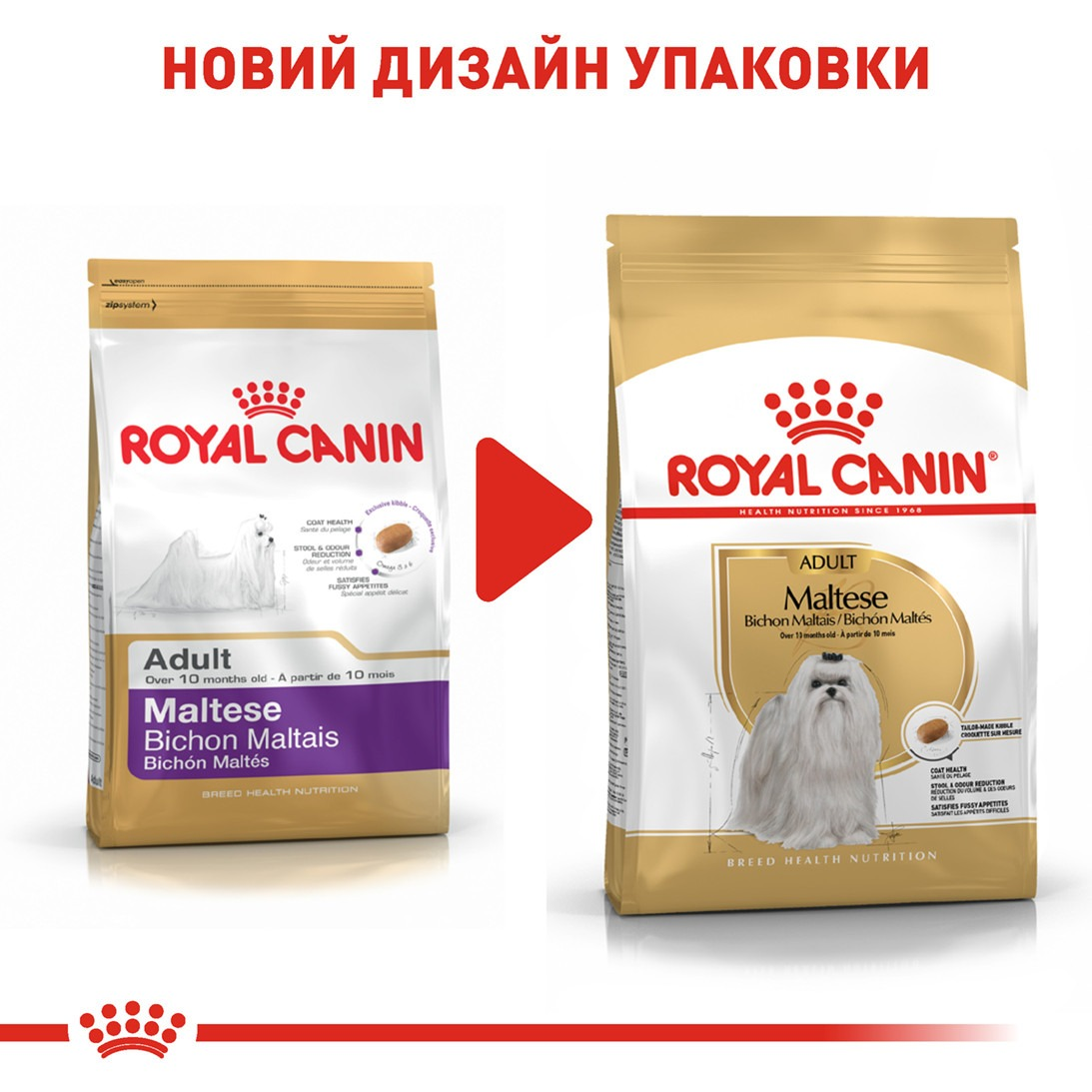 Сухой корм для собак породы Мальтийская болонка Royal Canin Maltese Adult 0.5кг фото 6