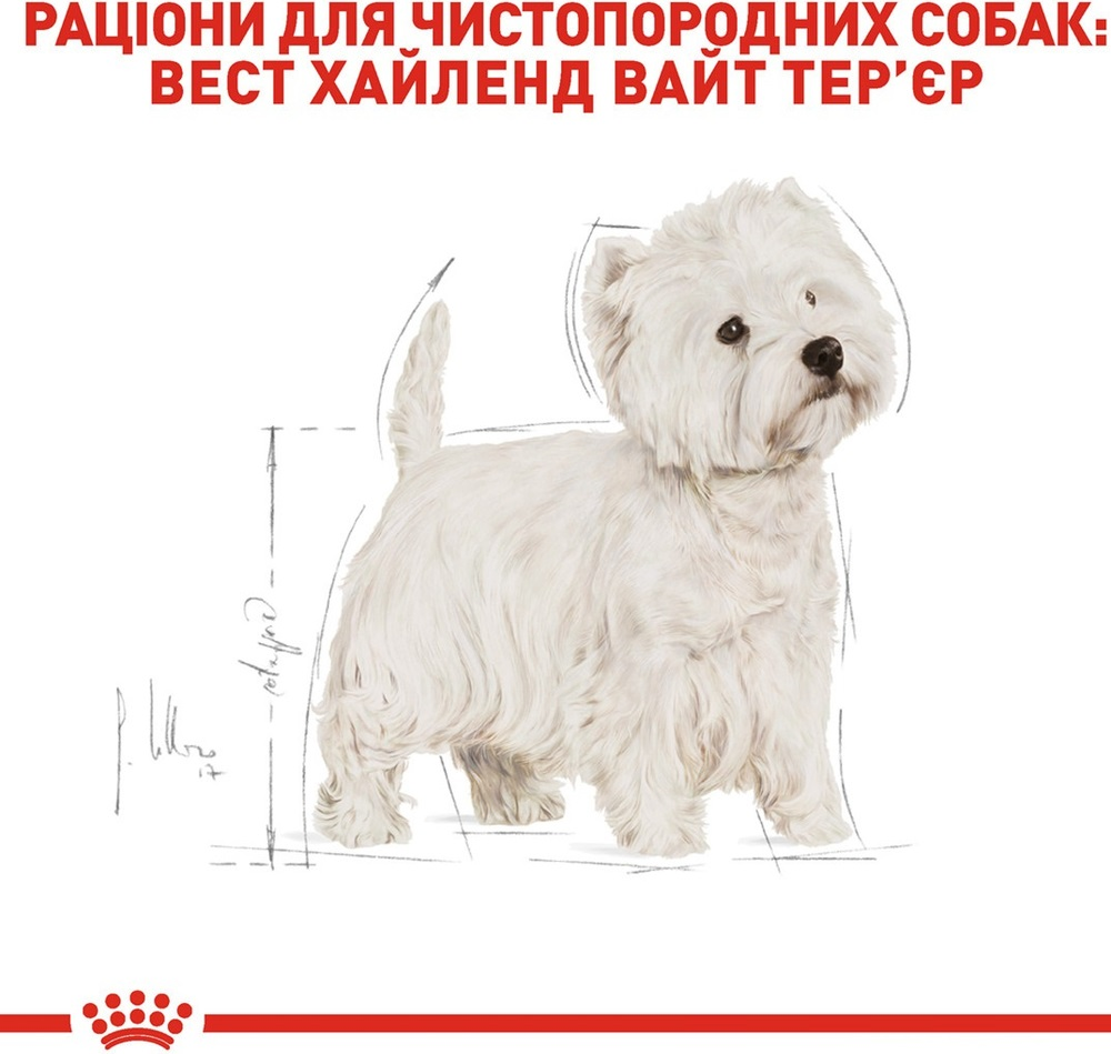 Сухой корм для собак породы Вест-Хайленд-Уайт-терьер Royal Canin Westie Adult 3кг фото 3