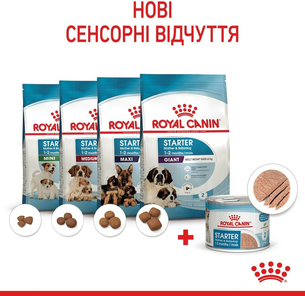 Влажный корм для собак Royal Canin Starter Mother & BabyDog Mousse в период лактации и новорожденных щенков 195г фото 9