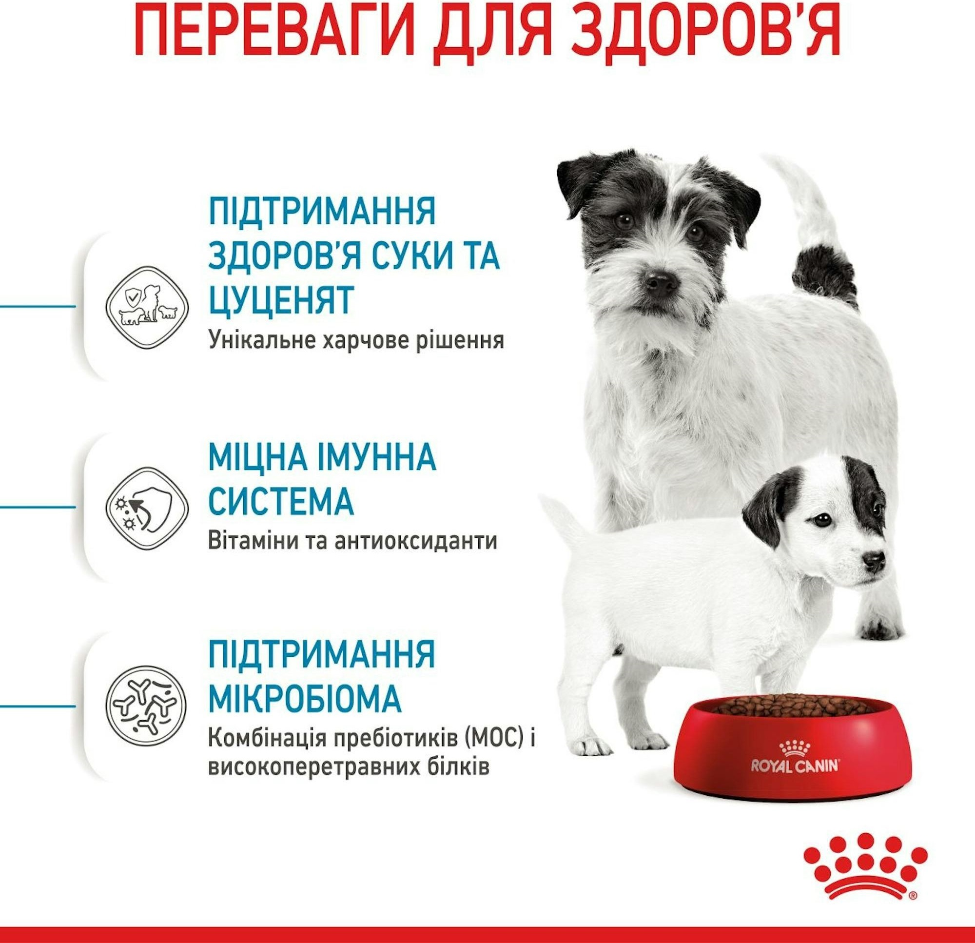 Вологий корм для собак Royal Canin Starter Mother & BabyDog Mousse в період лактації та новонароджених цуценят 195гфото3