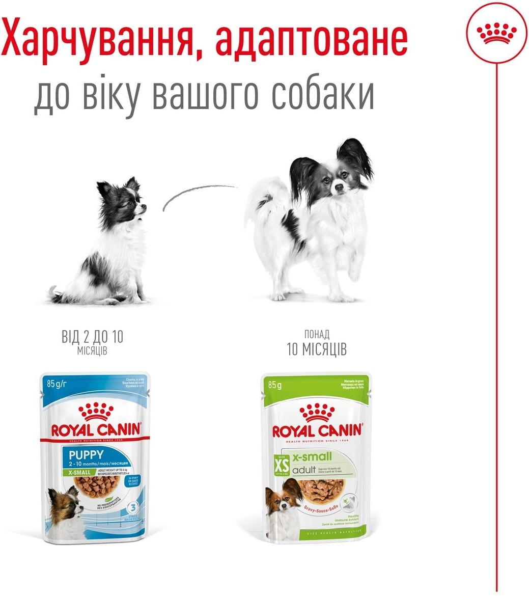 Влажный корм для собак Royal Canin X-Small Adult 85г фото 4