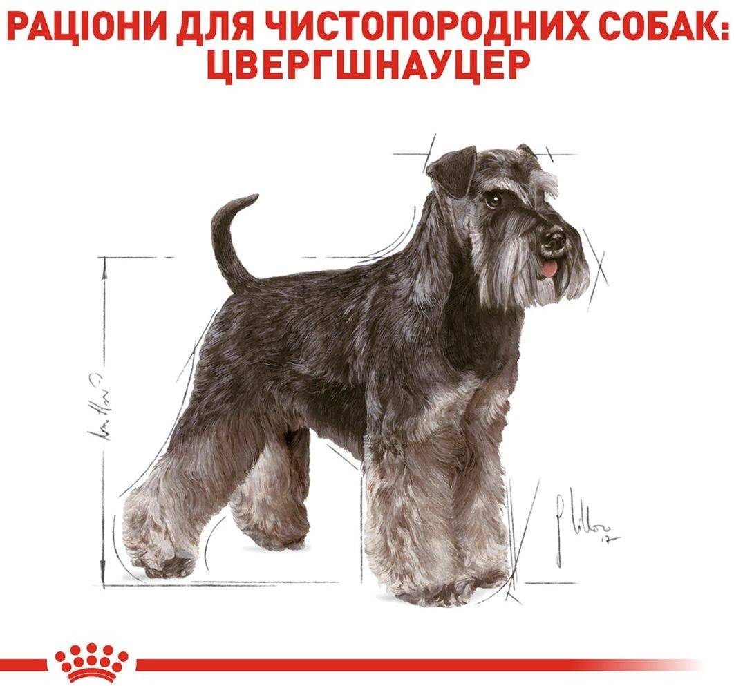 Сухой корм для собак породы Цвергшнауцер Royal Canin Schnauzer Adult 7.5кг фото 3