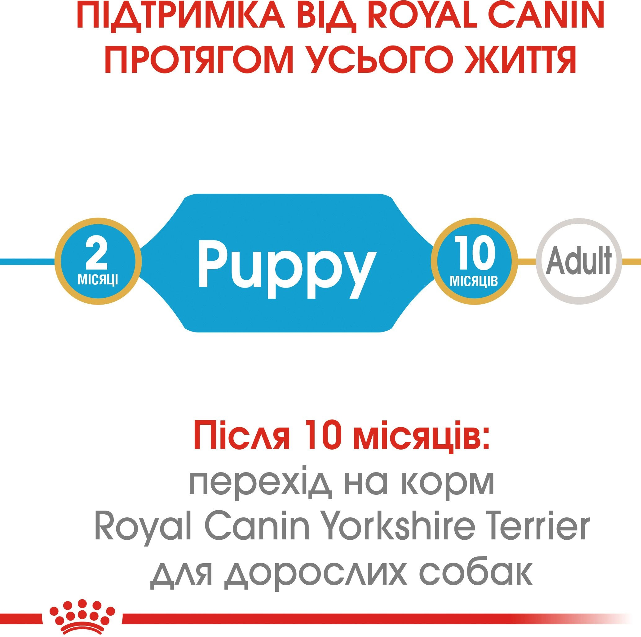 Сухой корм для щенков породы Йоркширский-терьер Royal Canin Yorkshire Puppy 0.5кг фото 5