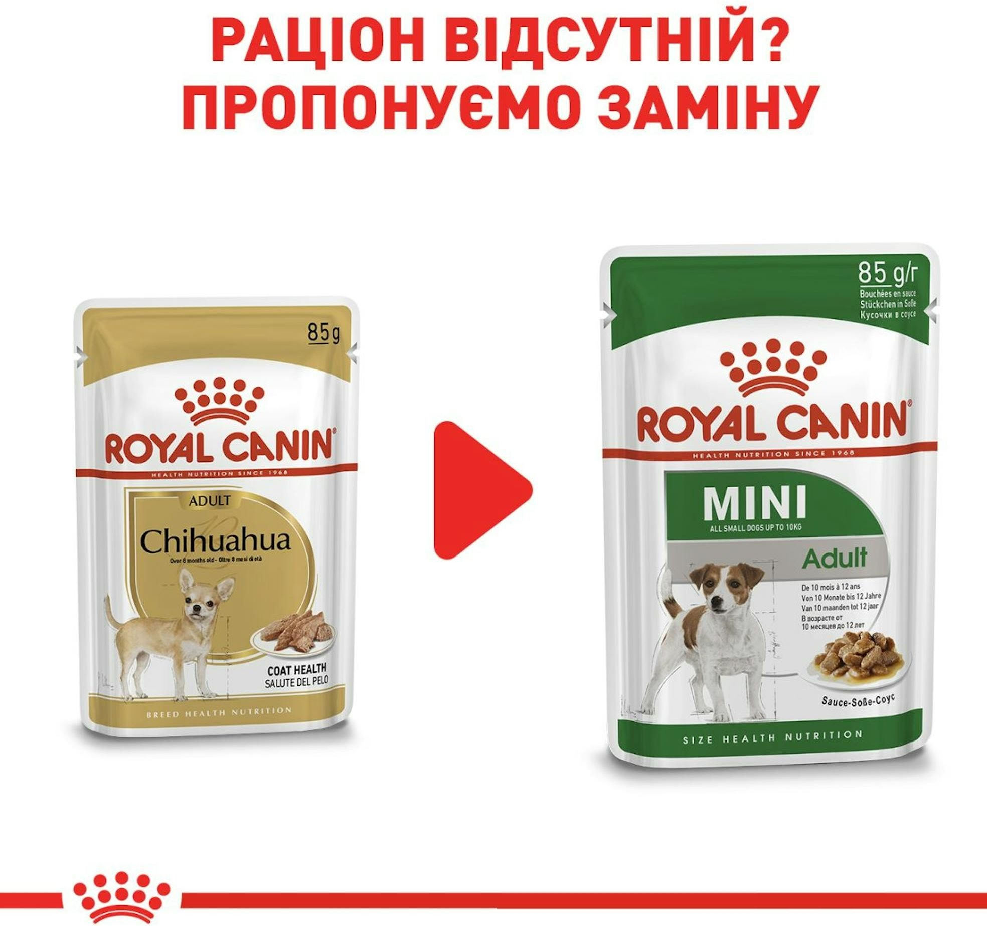 Влажный корм для собак породы Чихуахуа Royal Canin Chihuahua Adult 85г фото 9