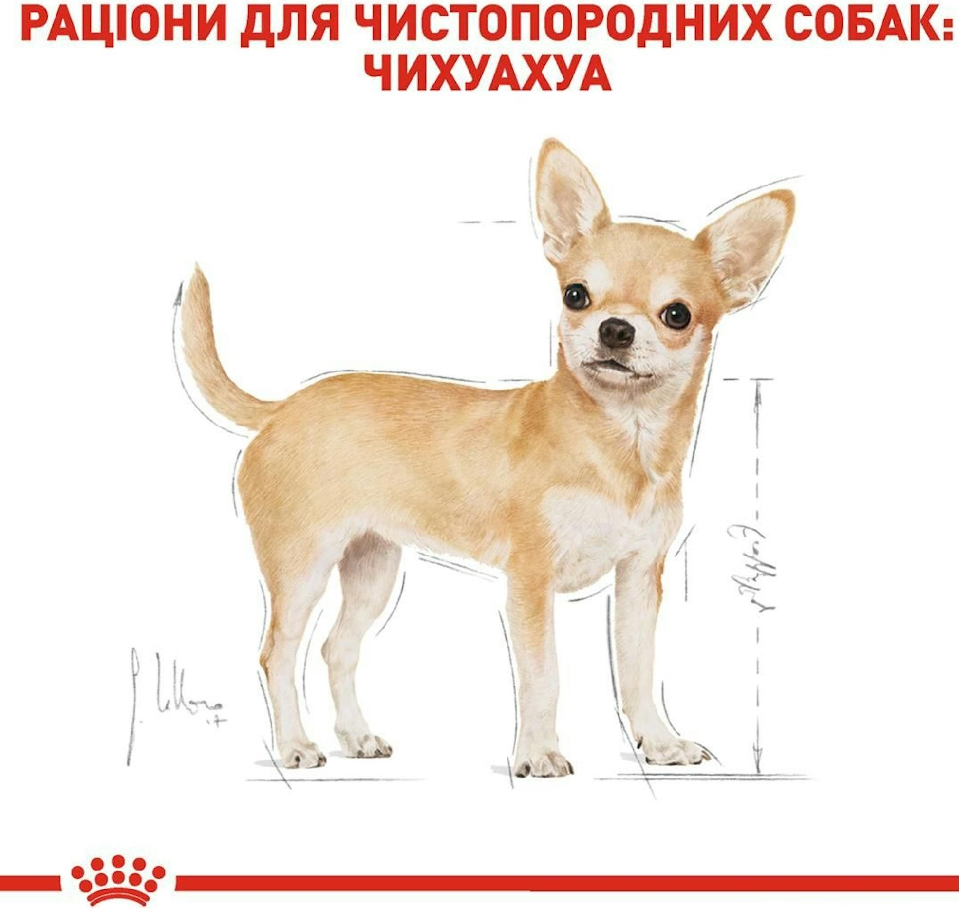 Влажный корм для собак породы Чихуахуа Royal Canin Chihuahua Adult 85г фото 3