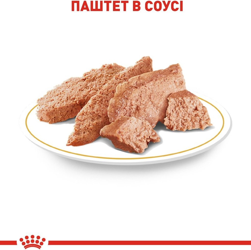 Влажный корм для собак породы Йоркширский-терьер Royal Canin Yorkshire Adult 85г фото 4