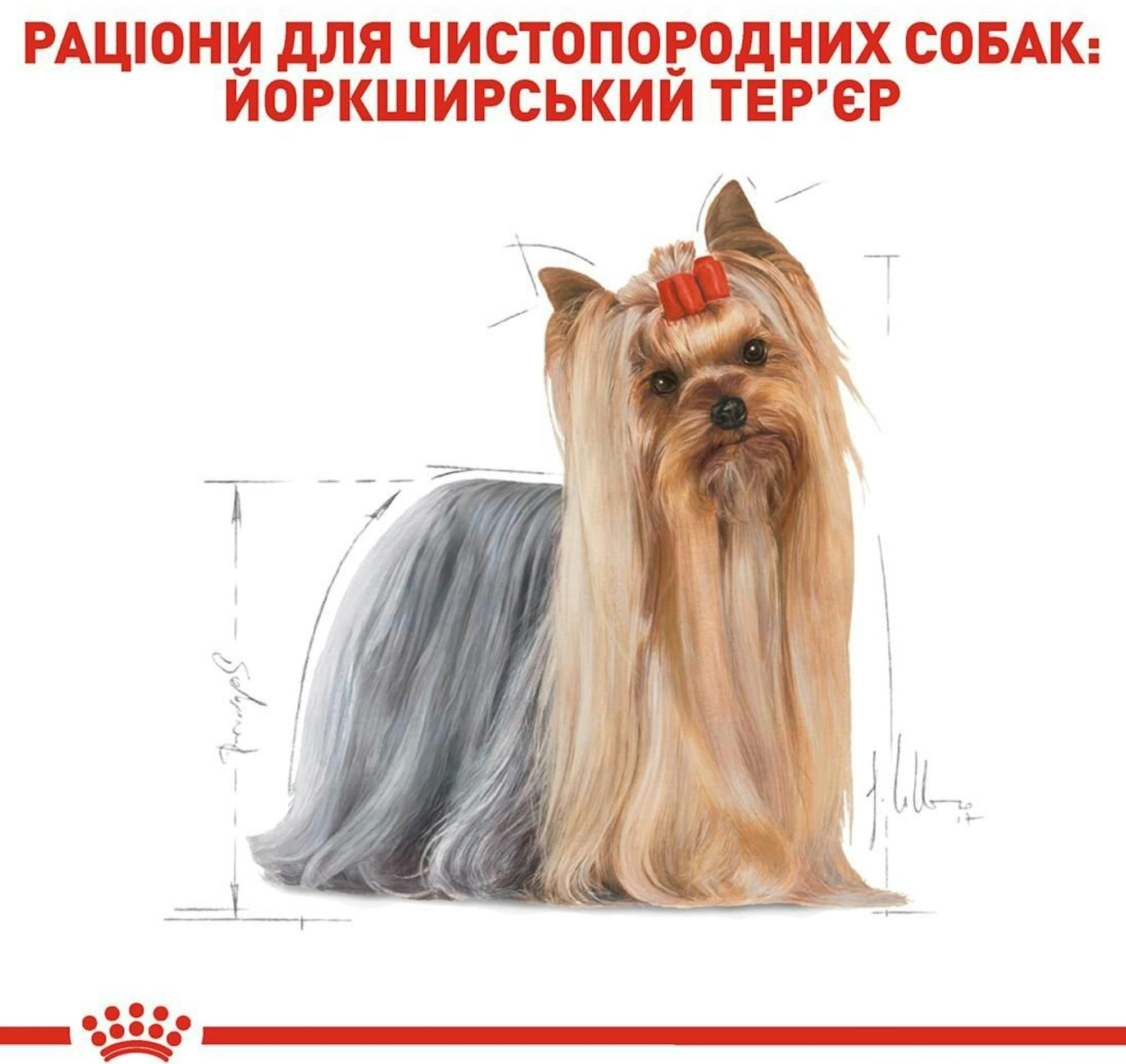 Влажный корм для собак породы Йоркширский-терьер Royal Canin Yorkshire Adult 85г фото 2