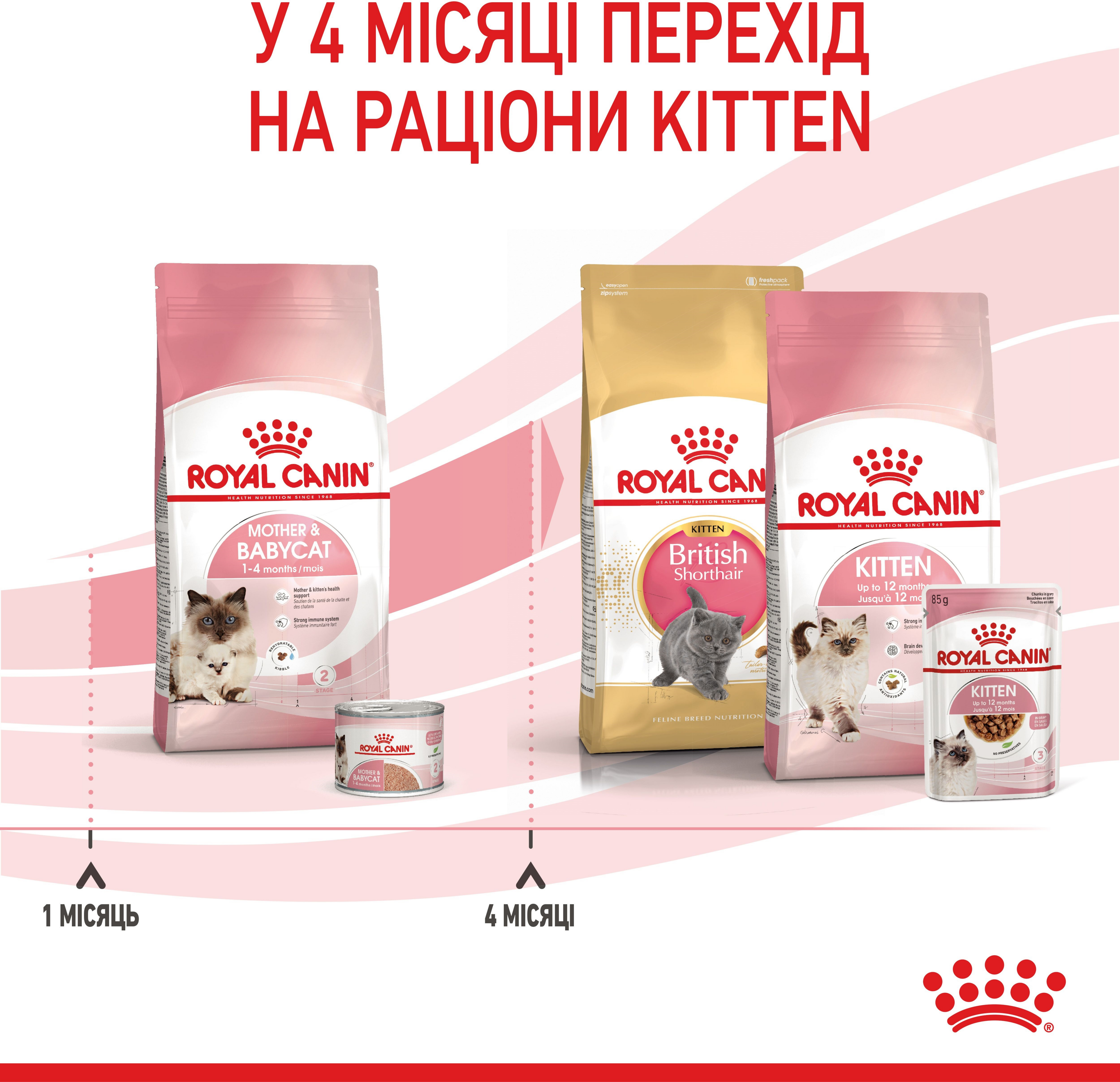 Сухий корм для котів під час вагітності та кошенят до 4 місяців Royal Canin Mother&Babycat 400гфото6