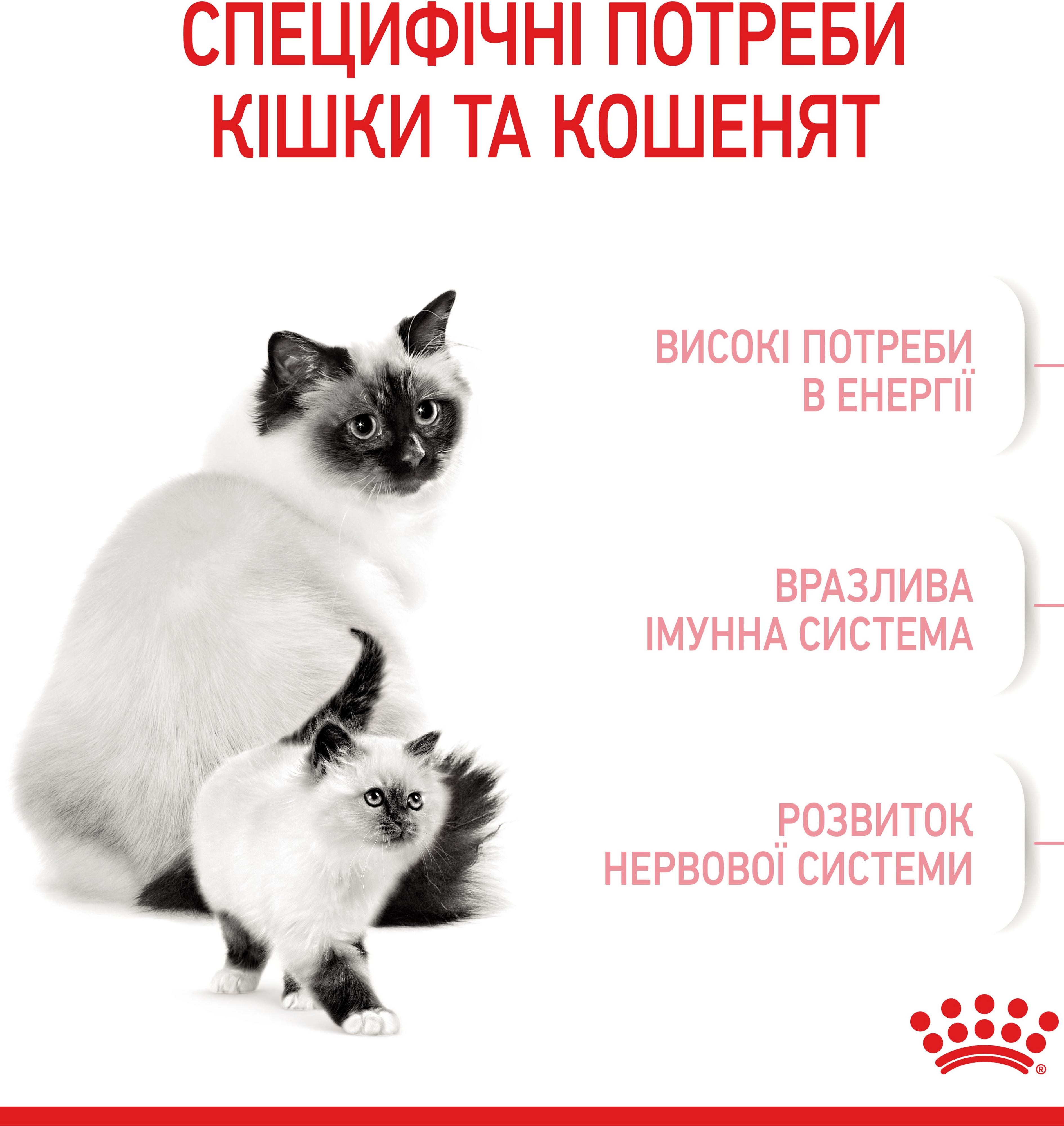 Сухий корм для котів під час вагітності та кошенят до 4 місяців Royal Canin Mother&Babycat 400гфото3