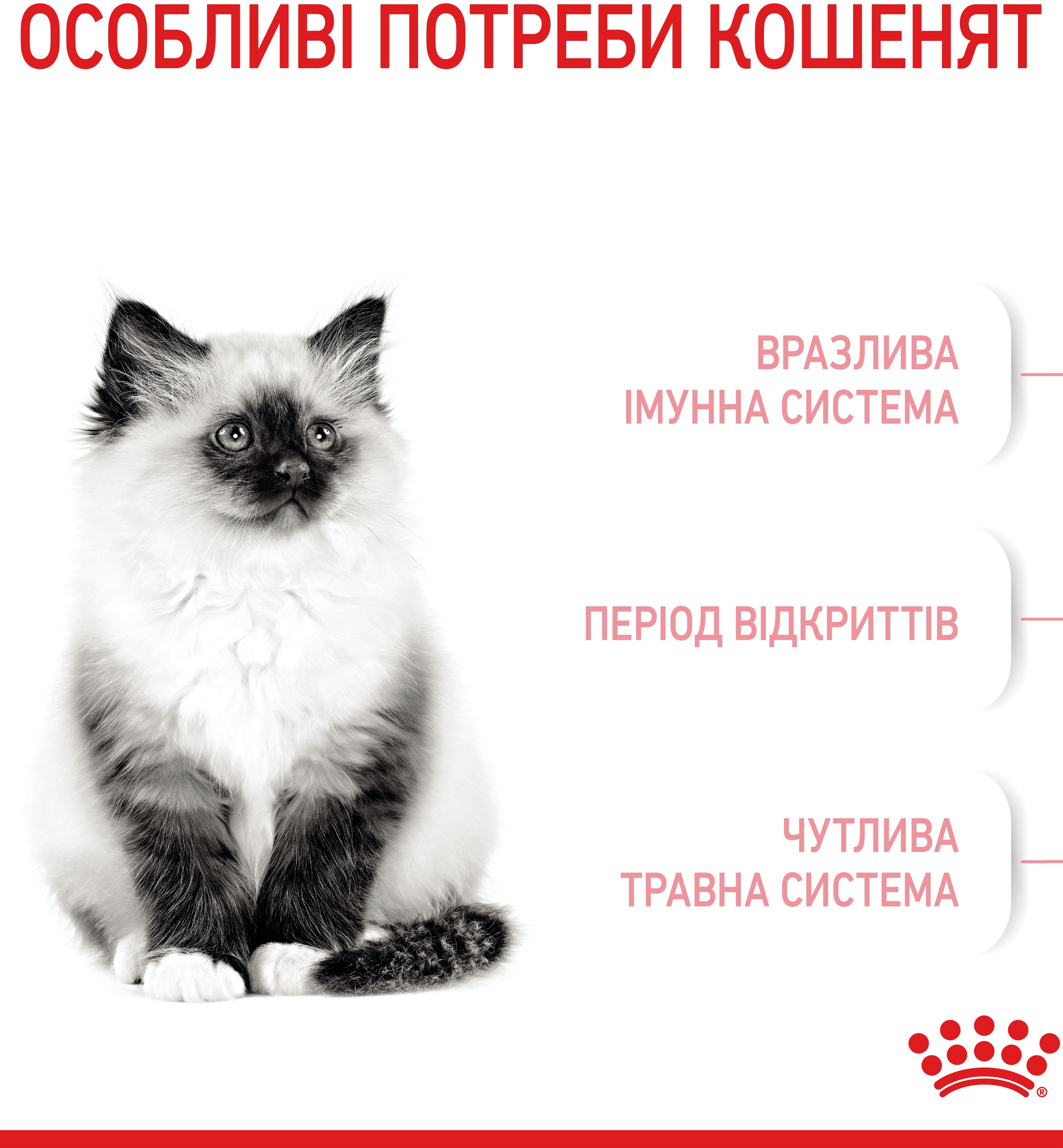 Сухий корм для кошенят Royal Canin Kitten 400гфото4