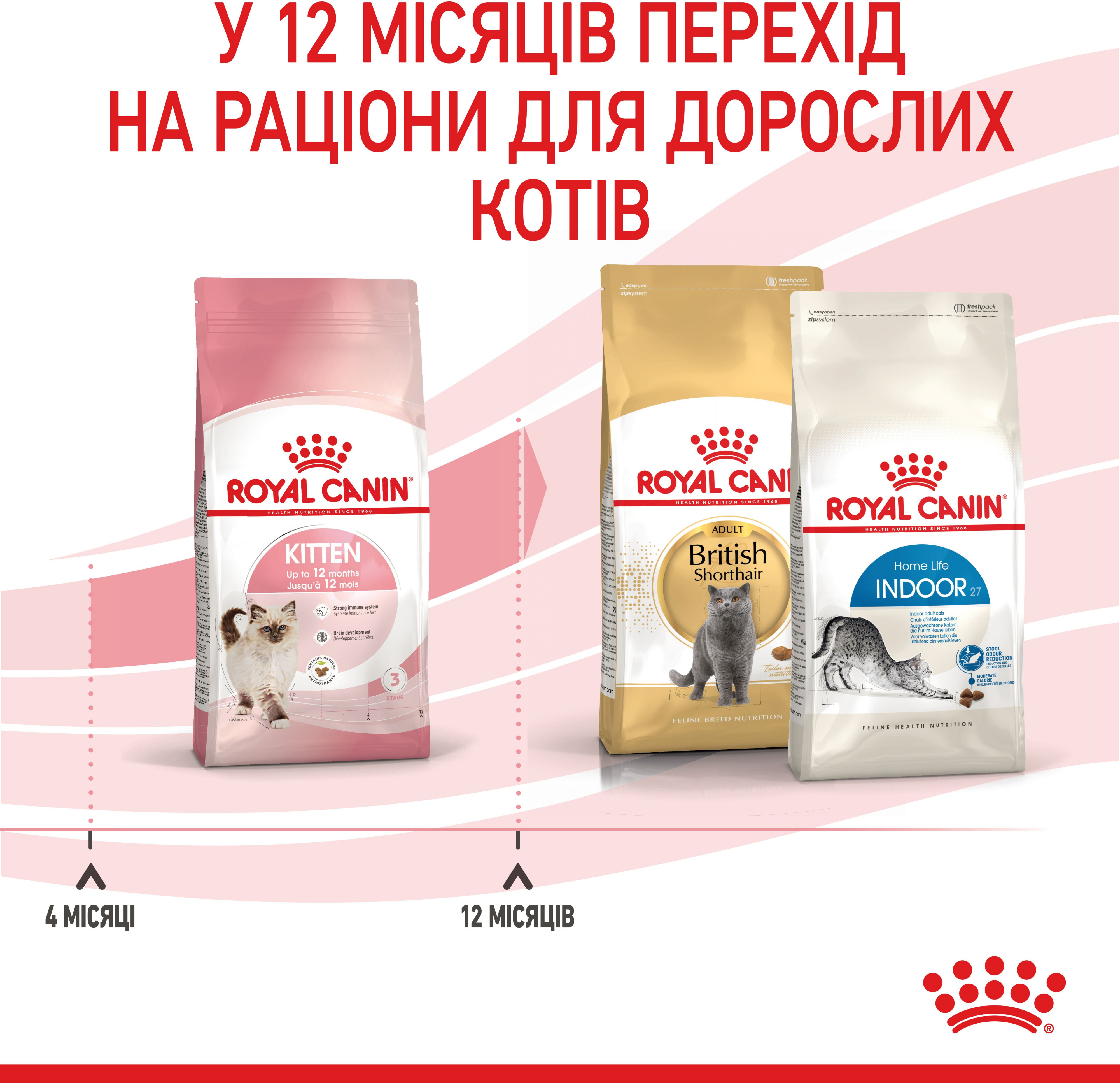 Сухий корм для кошенят Royal Canin Kitten 400гфото7