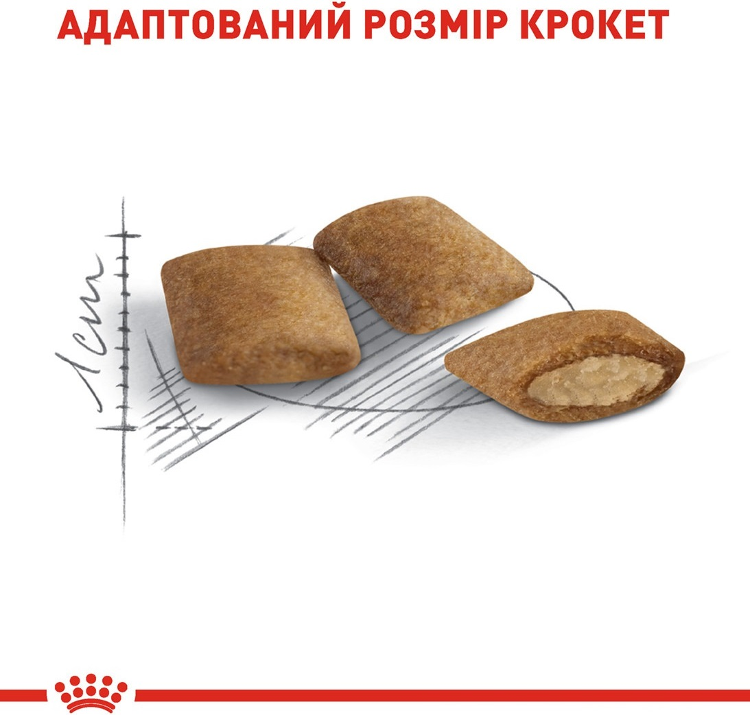 Сухий корм для котів Royal Canin Ageing 12+ старше 12 років 2кгфото5