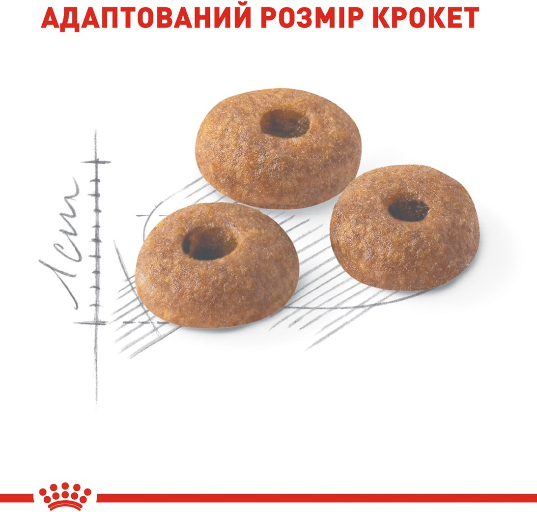 Сухой корм для домашних и уличных котов Royal Canin Fit 400г фото 4