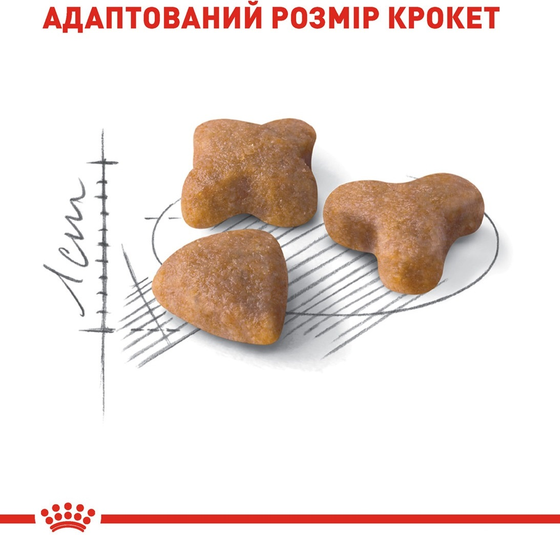 Сухий корм для котів Royal Canin Sensible з чутливою системою травлення 2кгфото4