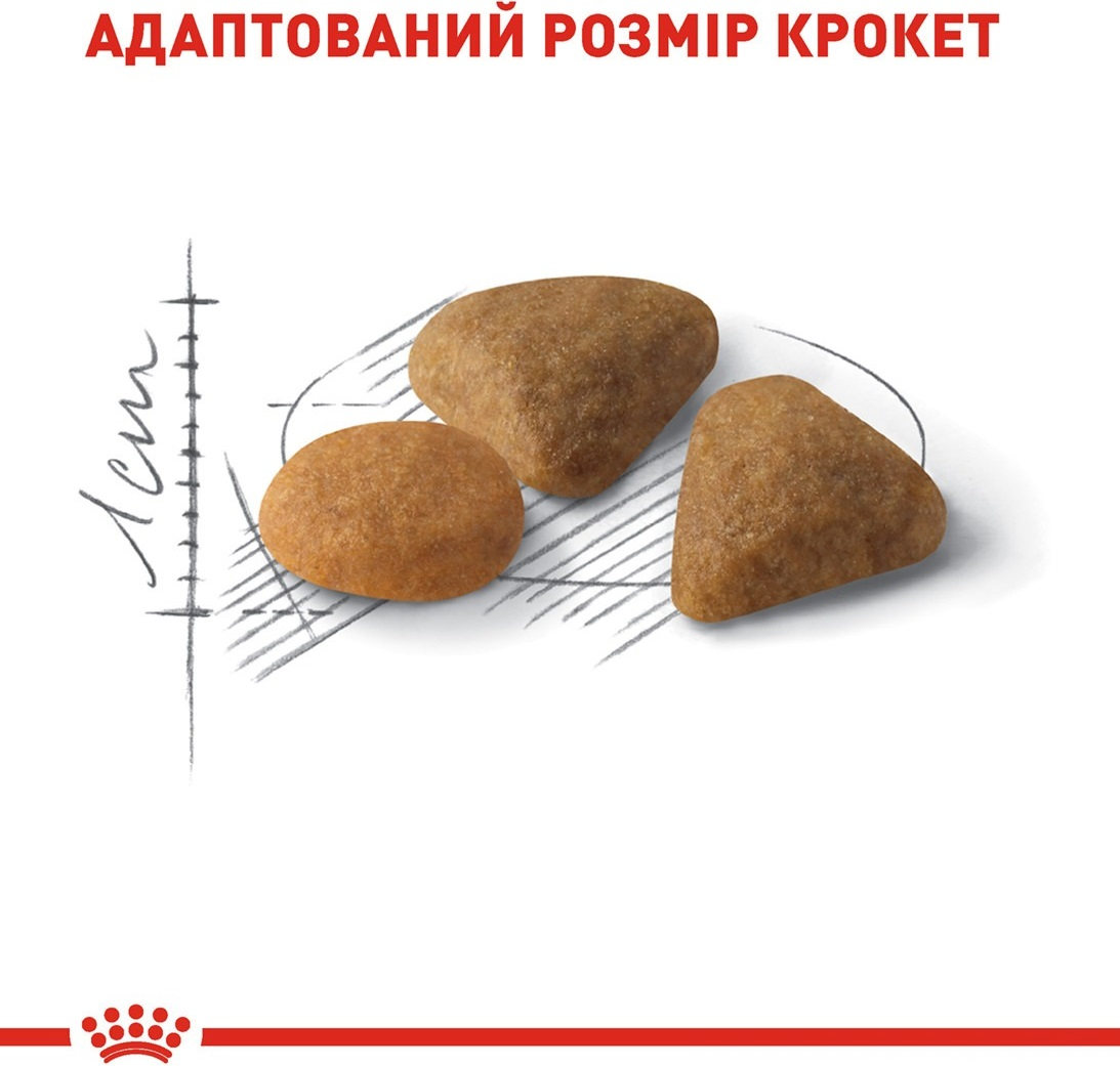 Сухой корм для котов Royal Canin Exigent Savour требовательных ко вкусовым качествам корма 2кг фото 4