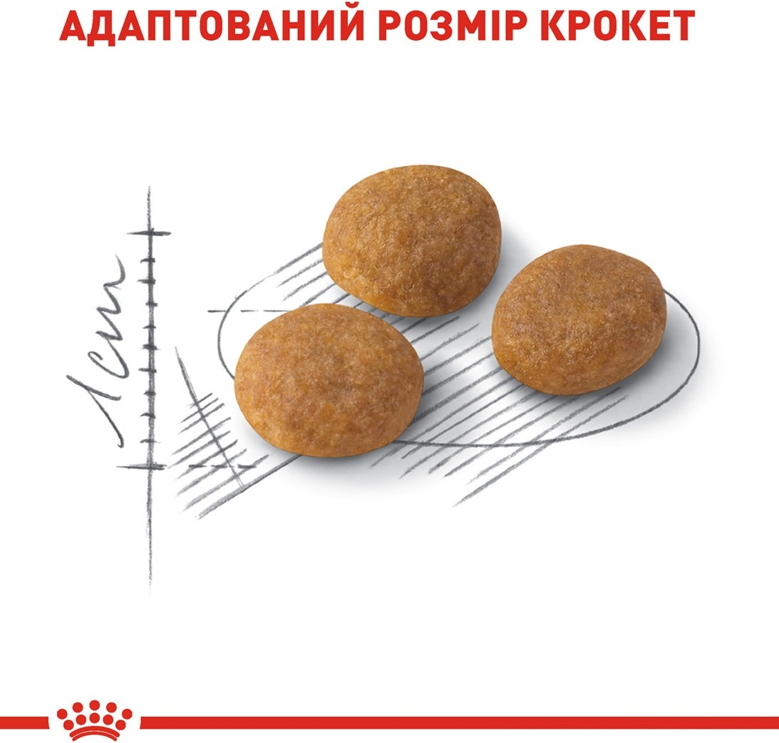 Сухой корм для котов Royal Canin Exigent Aroma требовательных к аромату корма 2кг фото 4