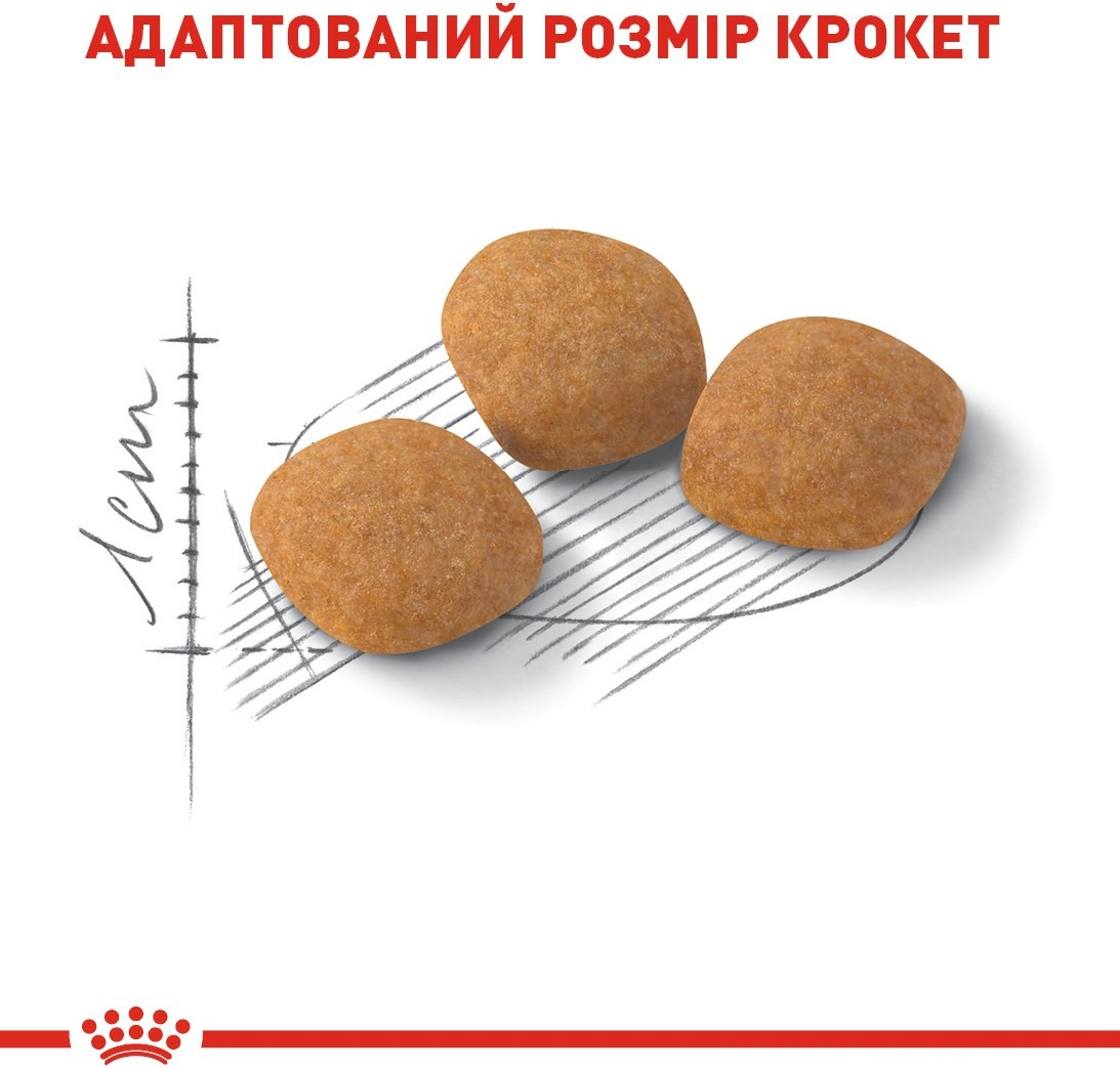 Сухий корм для котів Royal Canin Exigent Protein вимогливих до поживності раціону 2кгфото4